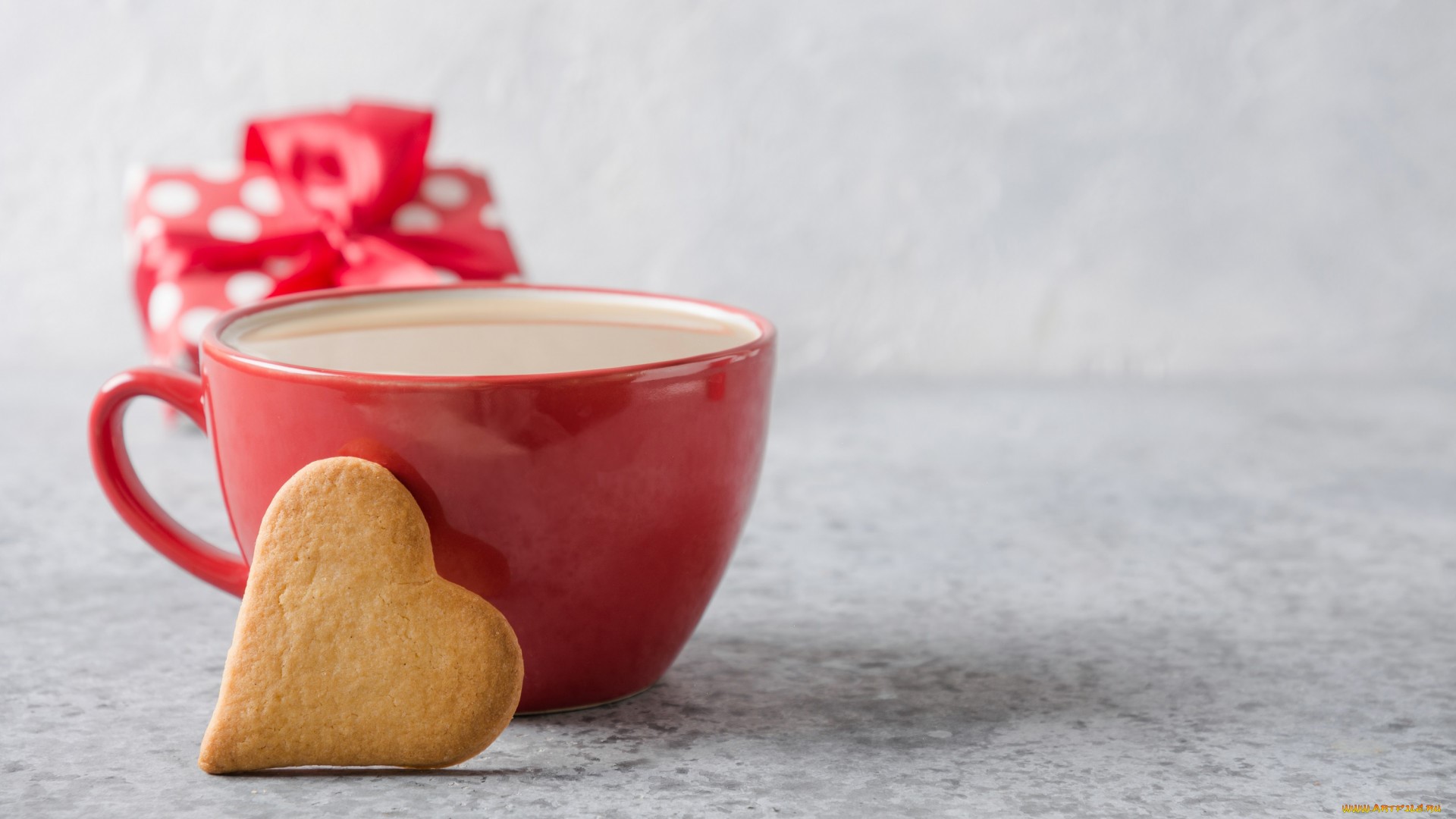 food, cup, cake, HD Wallpaper