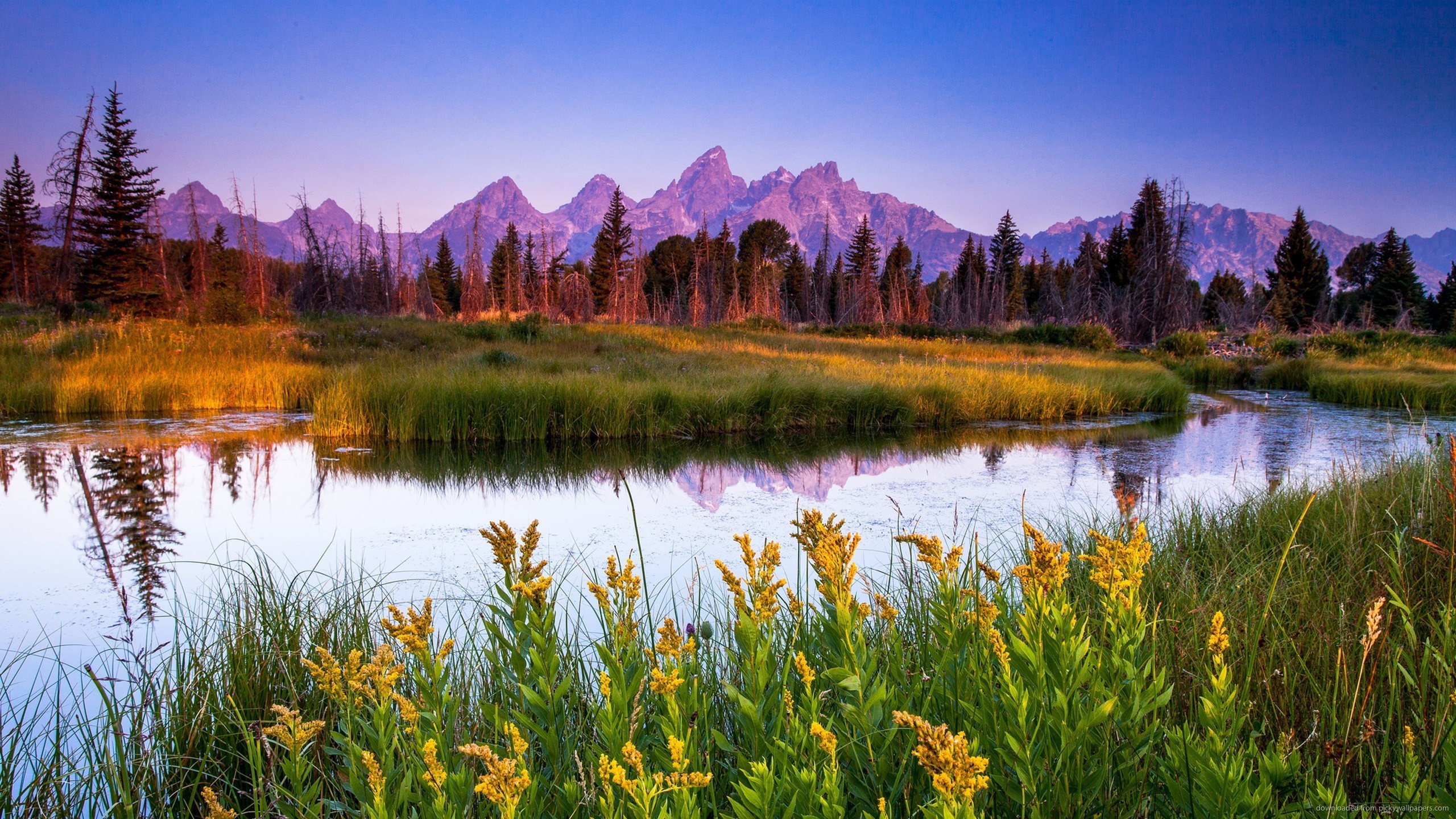 flowers, mountains, river, water, landscape, grass, HD Wallpaper