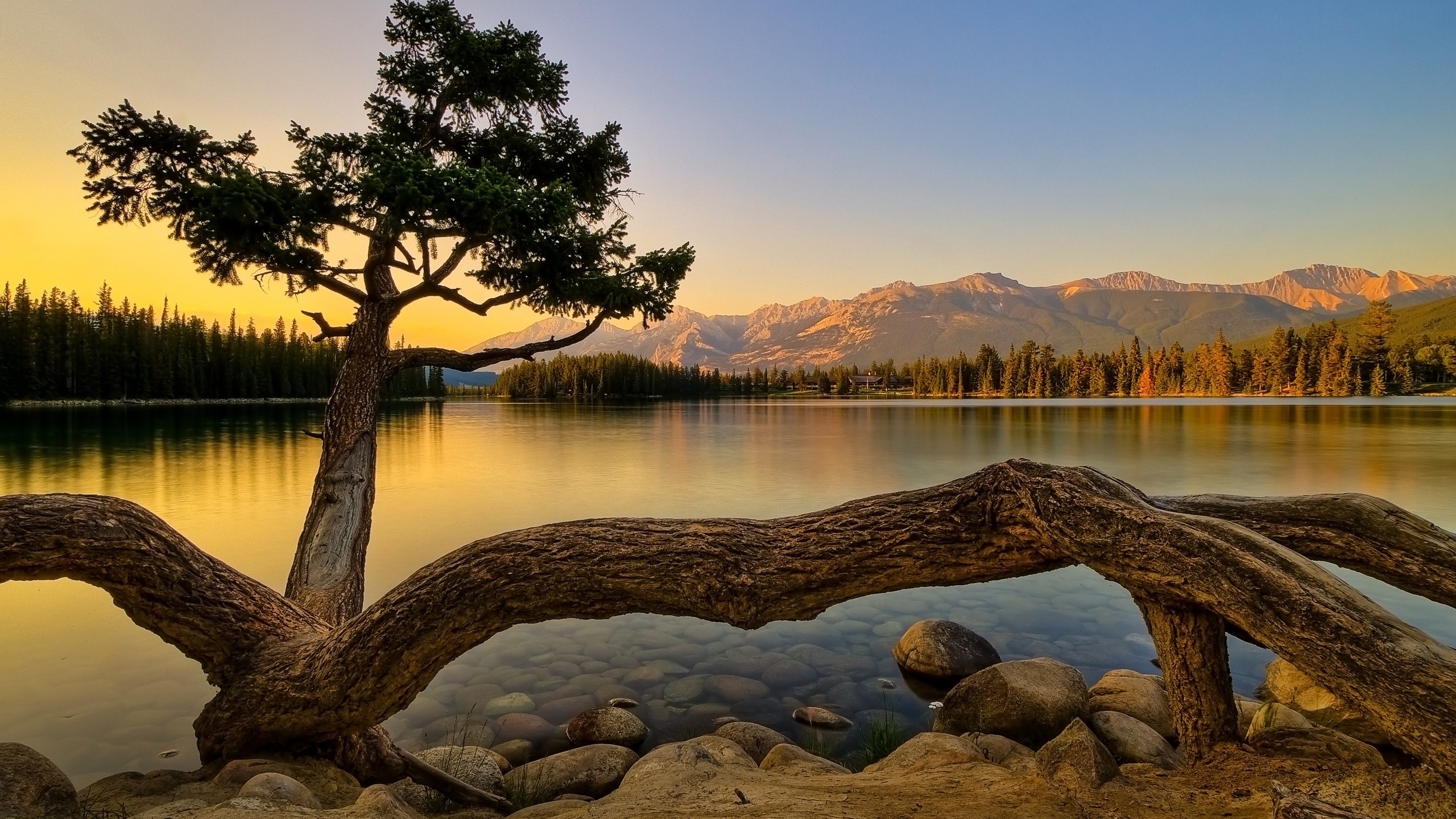 landscape, nature, trees, lake, HD Wallpaper