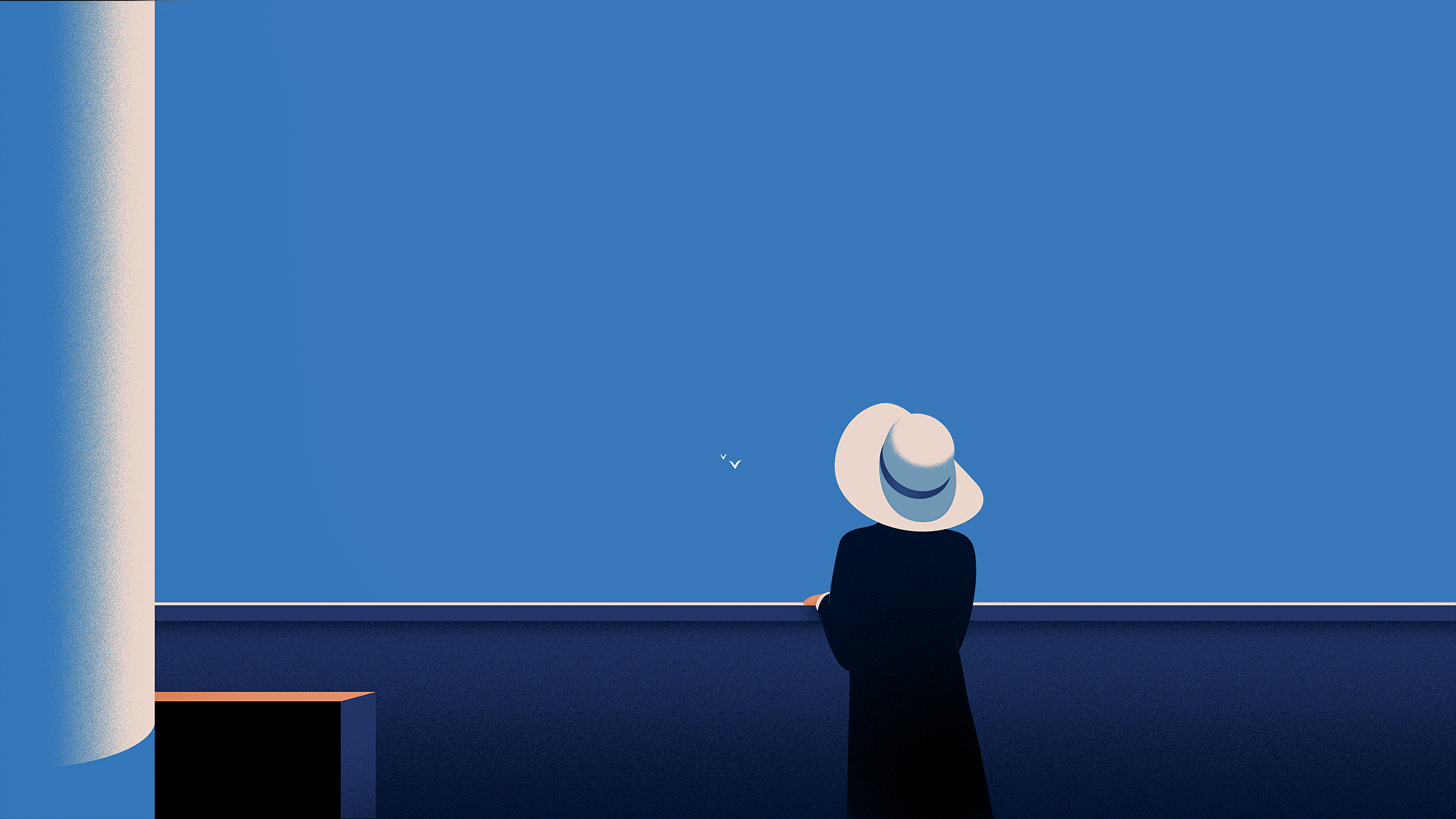 hat, seagulls, Thomas Danthony, blue, HD Wallpaper
