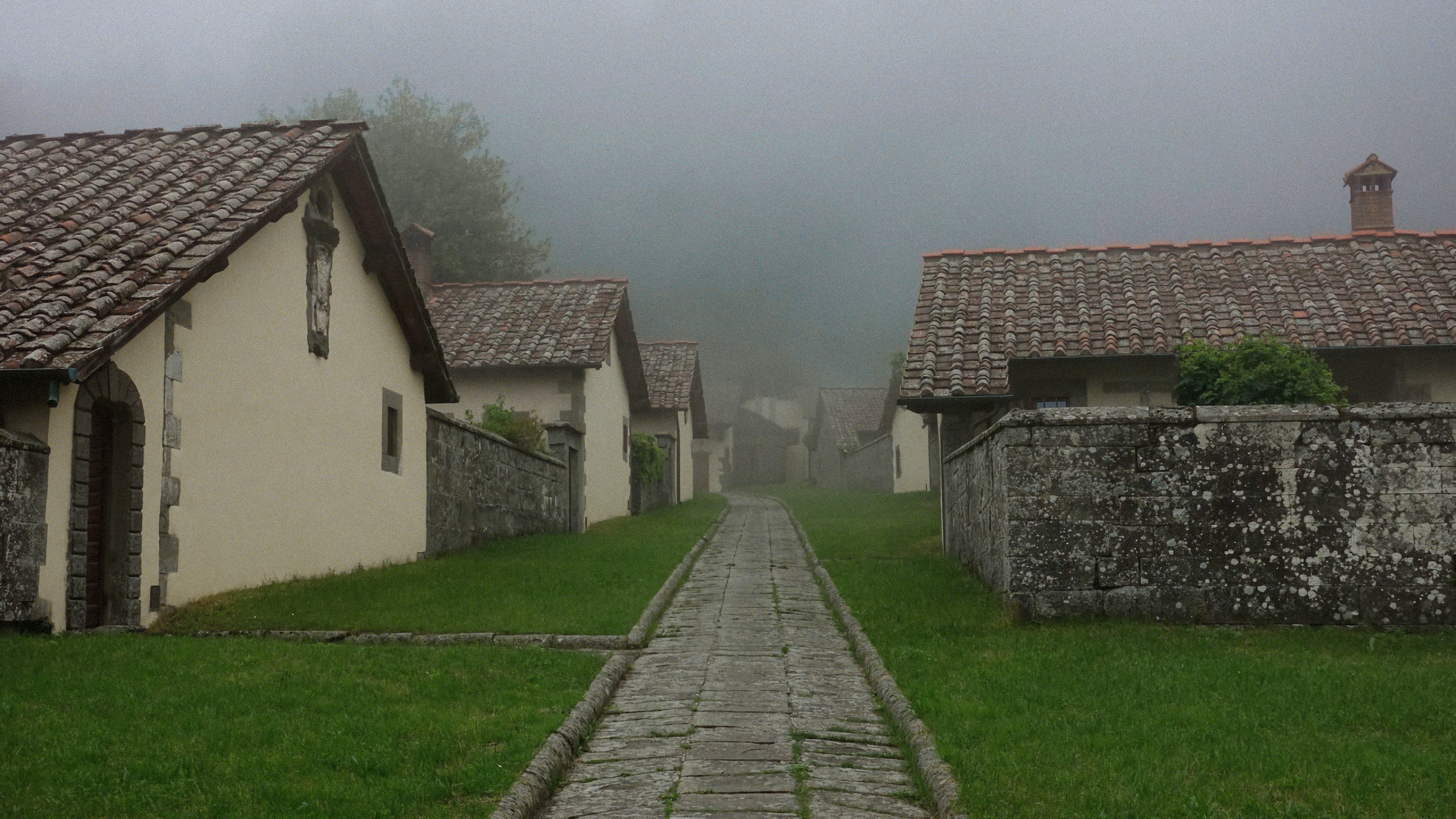 monastery, mist, outdoors, Camaldoli, HD Wallpaper