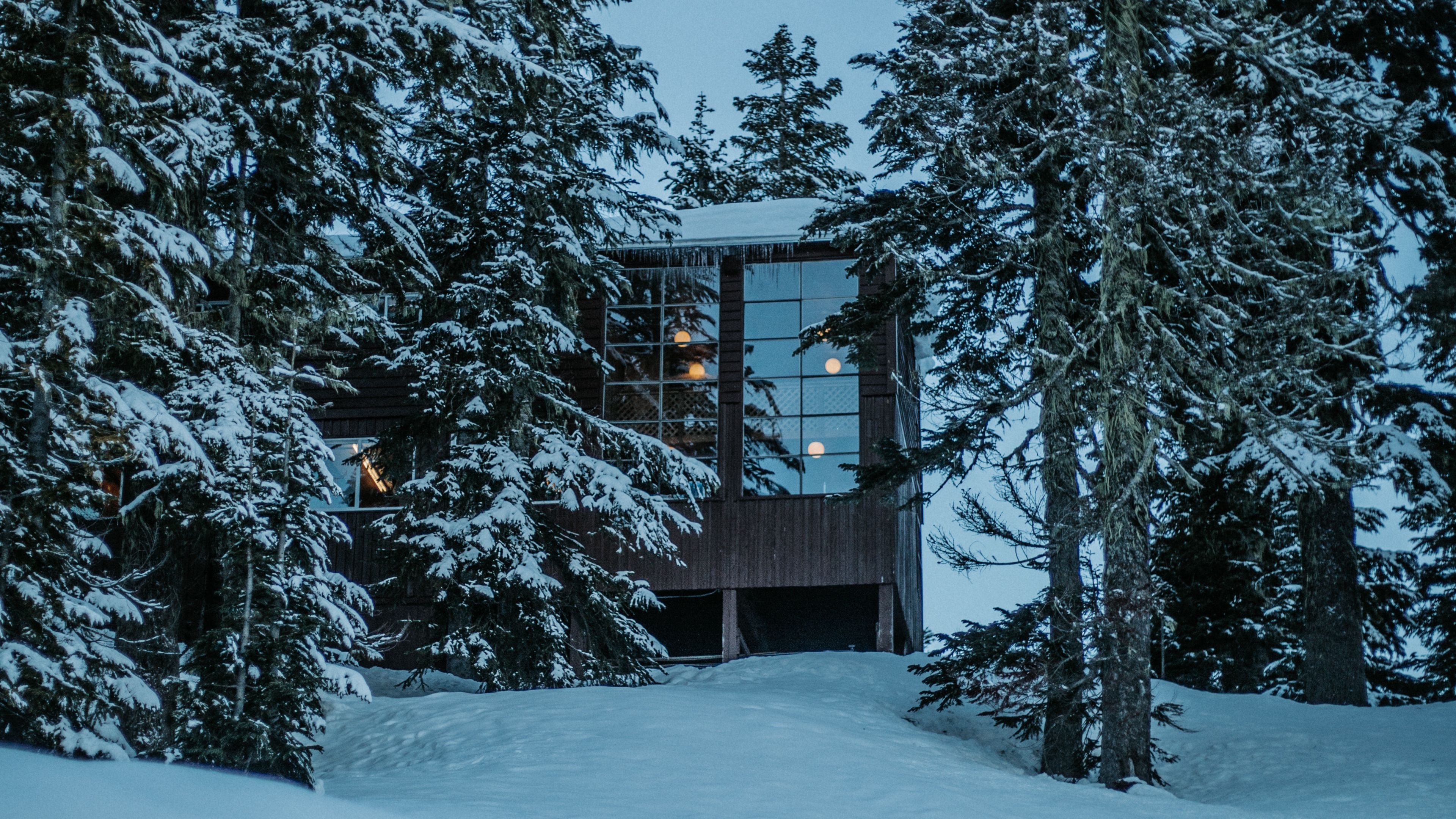 house, forest, snow, winter, trees, 4k, HD Wallpaper