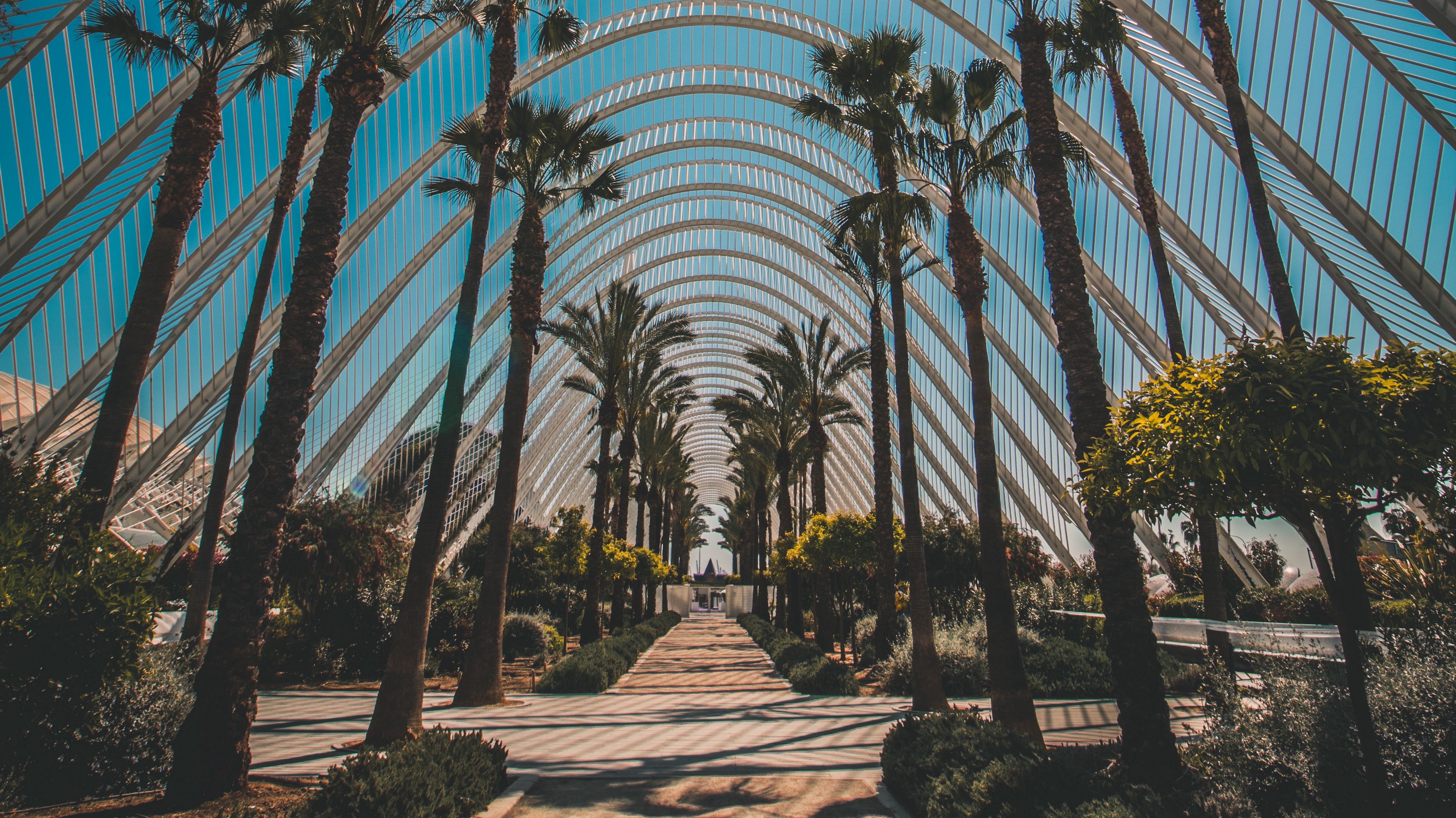 palm trees, tropics, sunlight, architecture, construction, 4k, HD Wallpaper