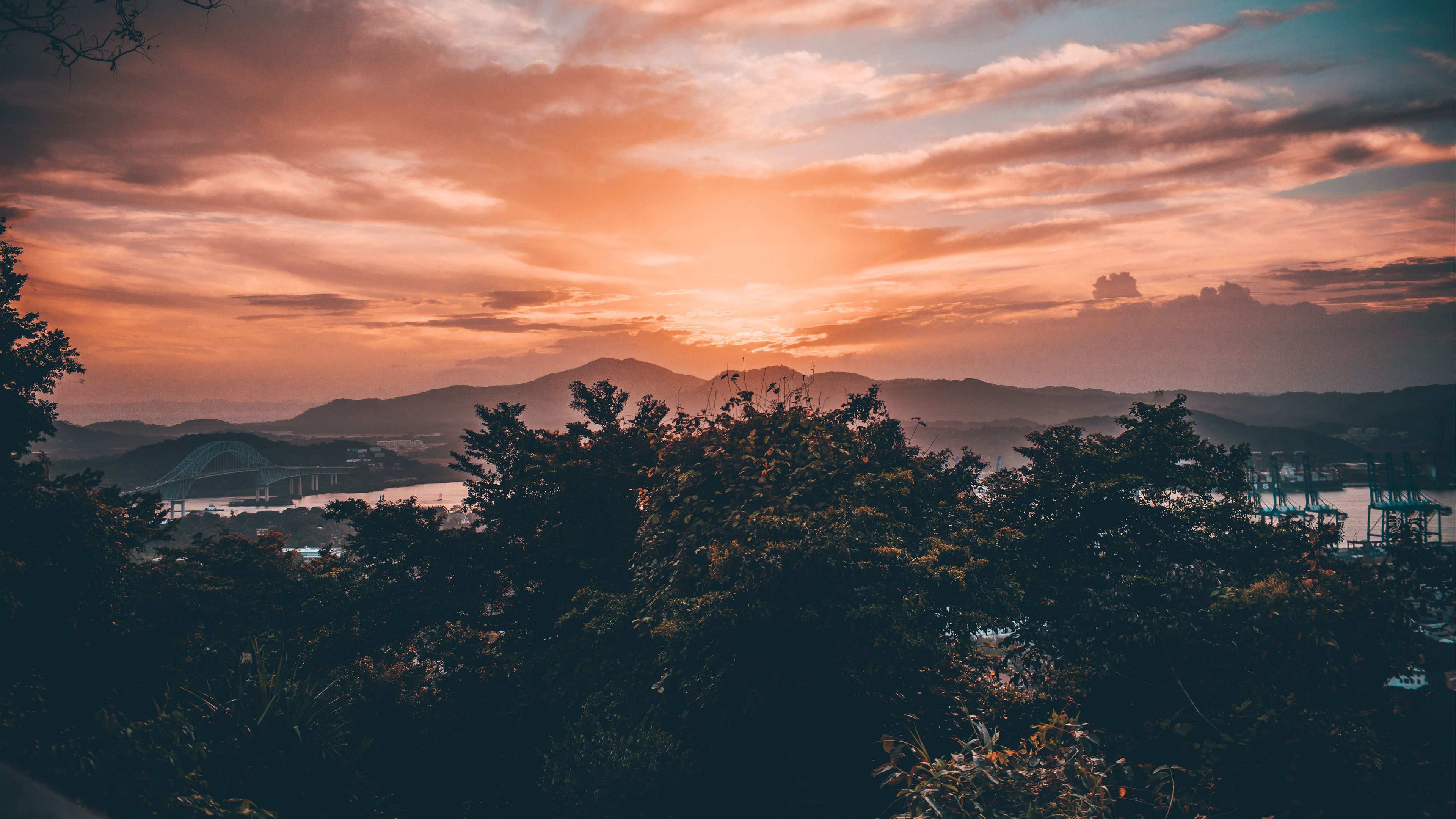 trees, clouds, sunset, sky, landscape, 4k, HD Wallpaper