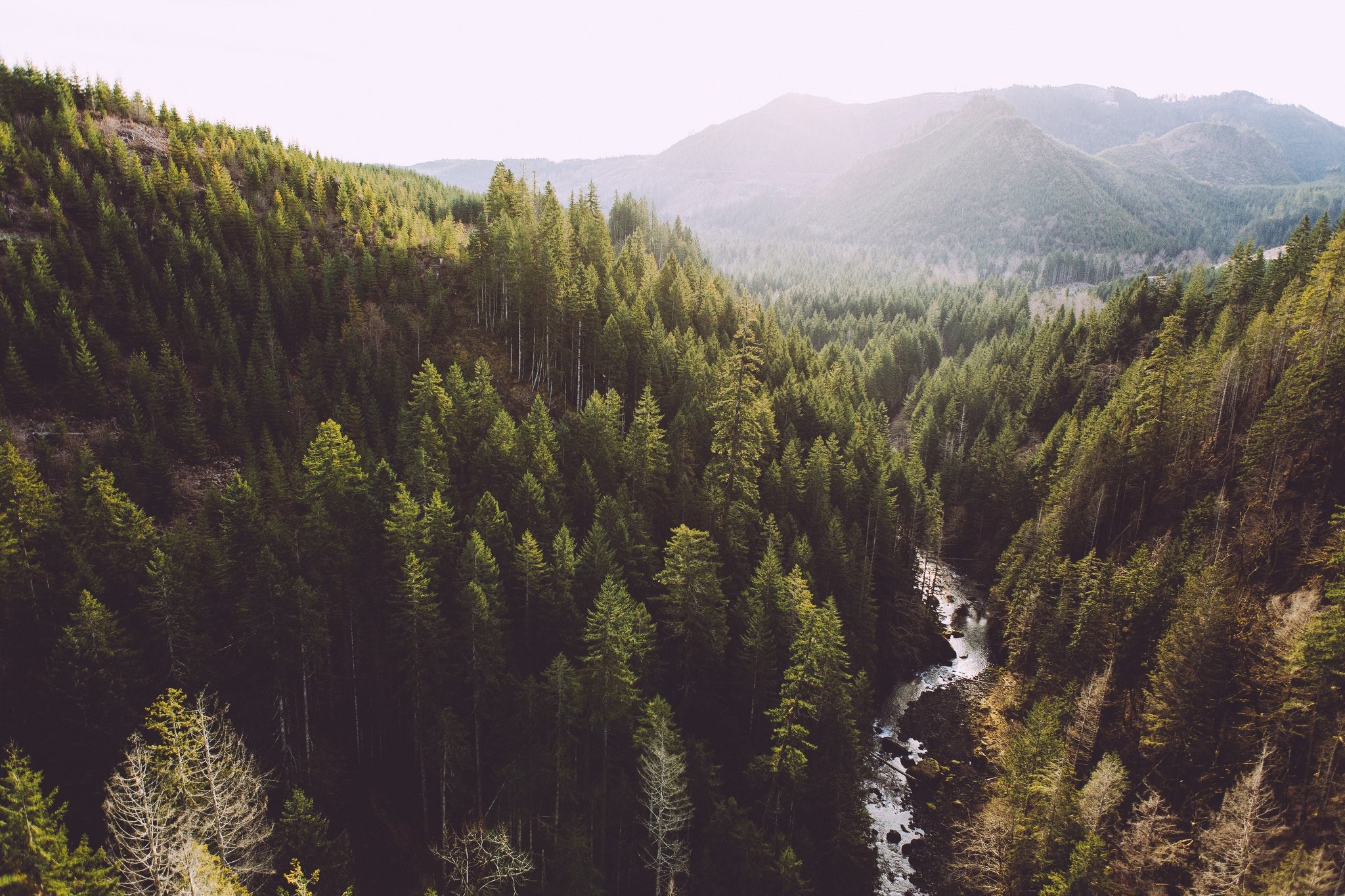 nature, outdoors, landscape, mountains, mist, trees, forest, river, HD Wallpaper