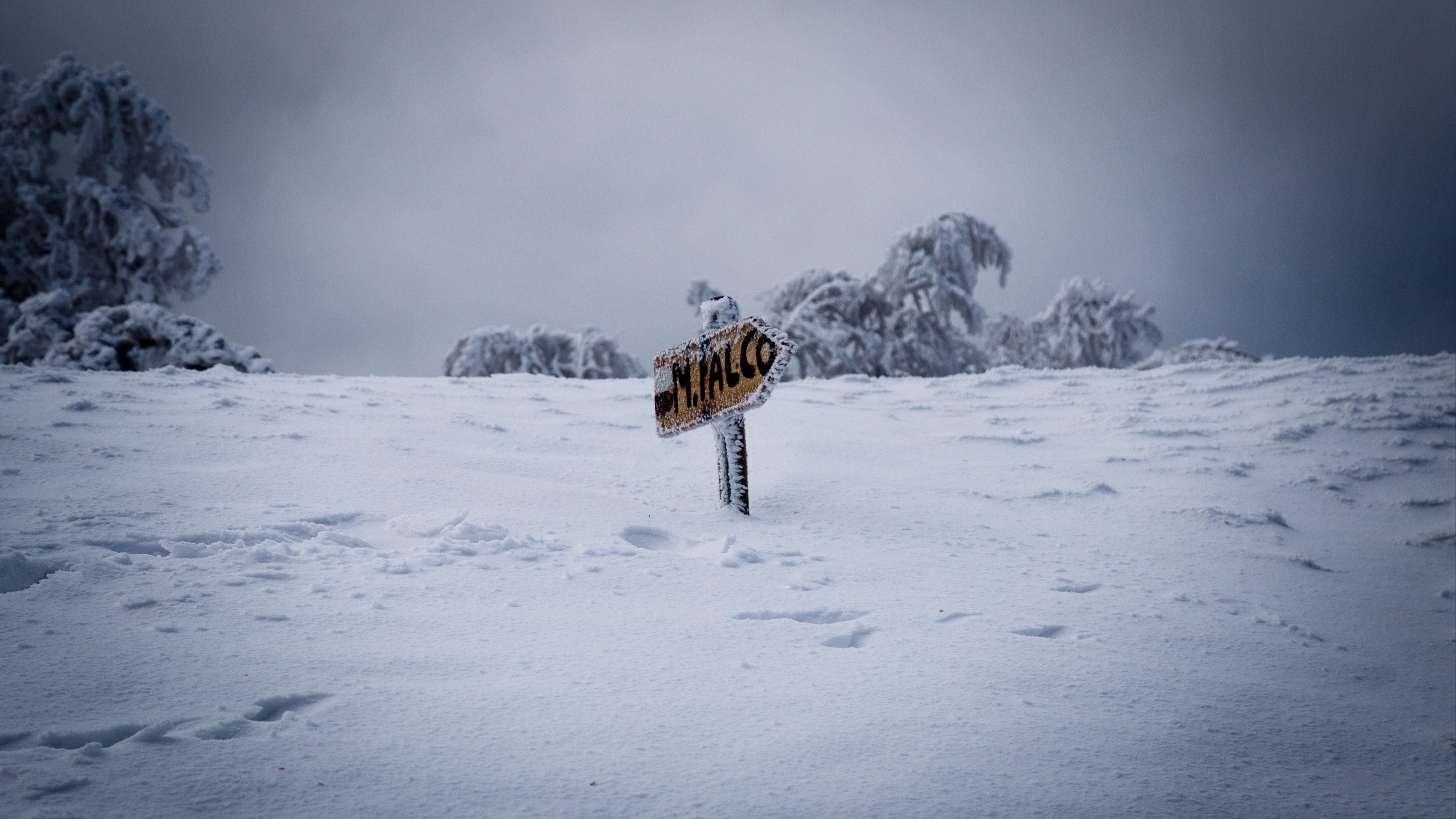 pointer, snow, drifts, winter, 4k, HD Wallpaper
