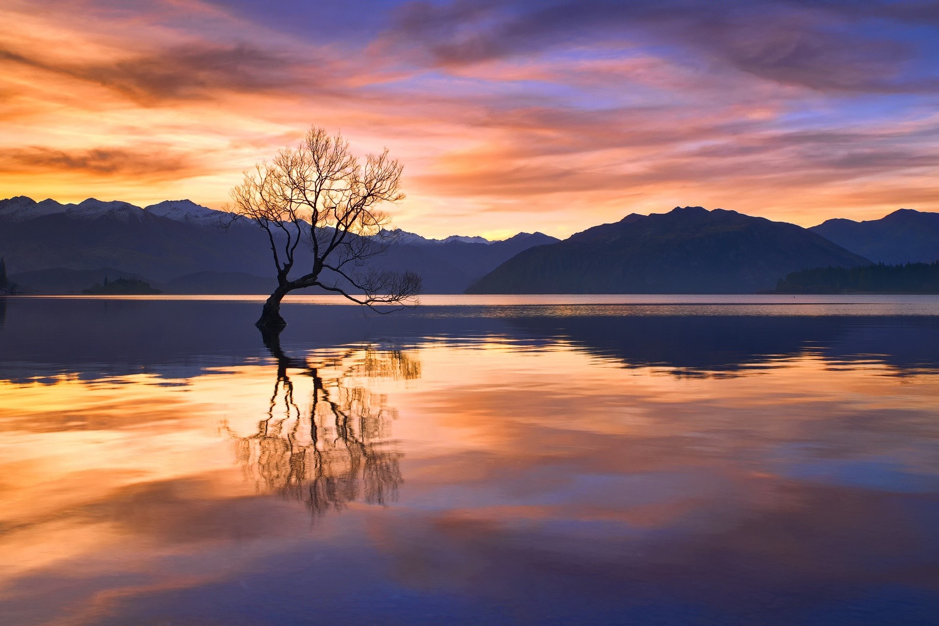 New Zealand, sky, sunlight, trees, water, reflection, outdoors, nature, HD Wallpaper