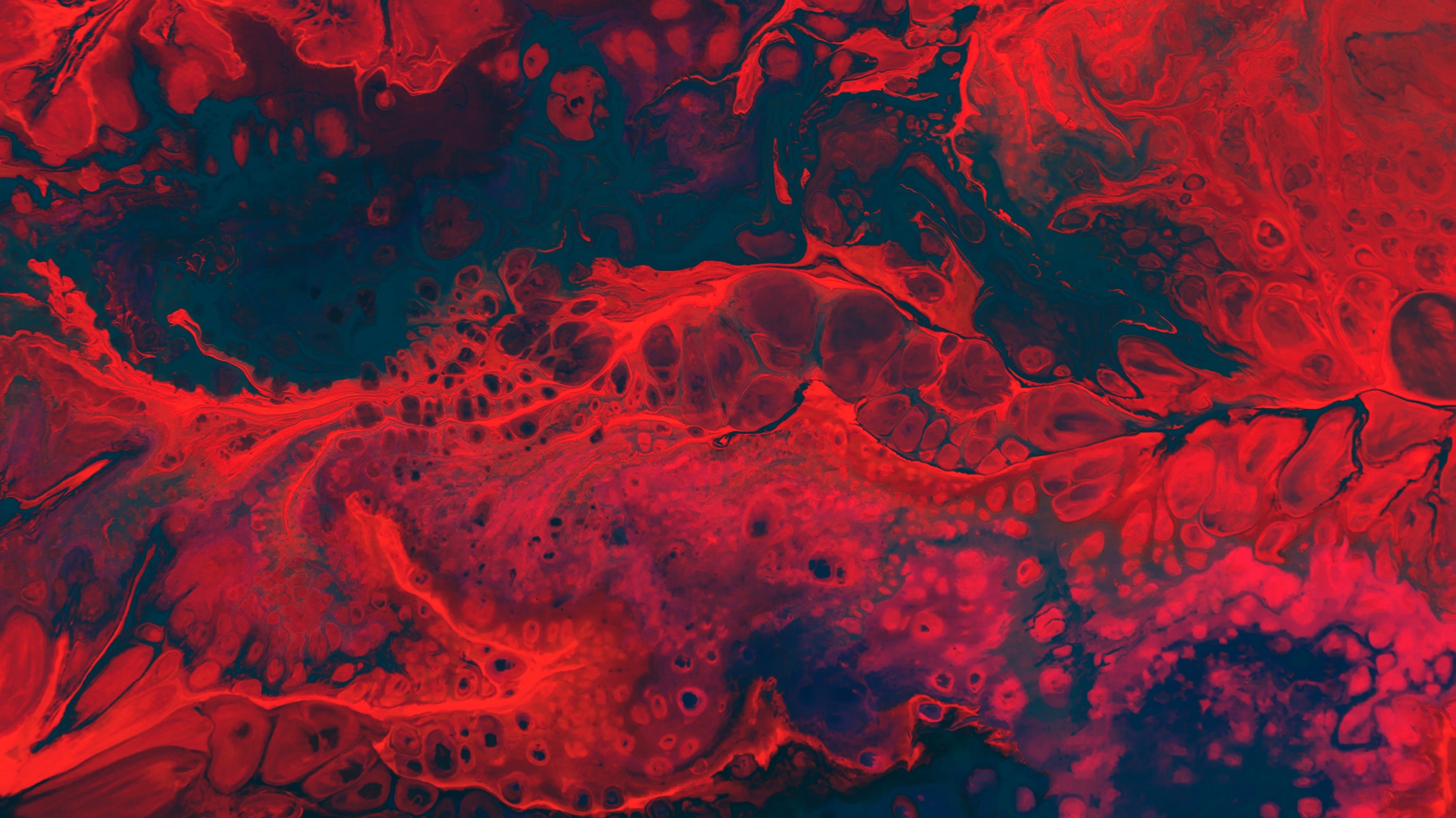abstract, red, Cassi Josh, HD Wallpaper