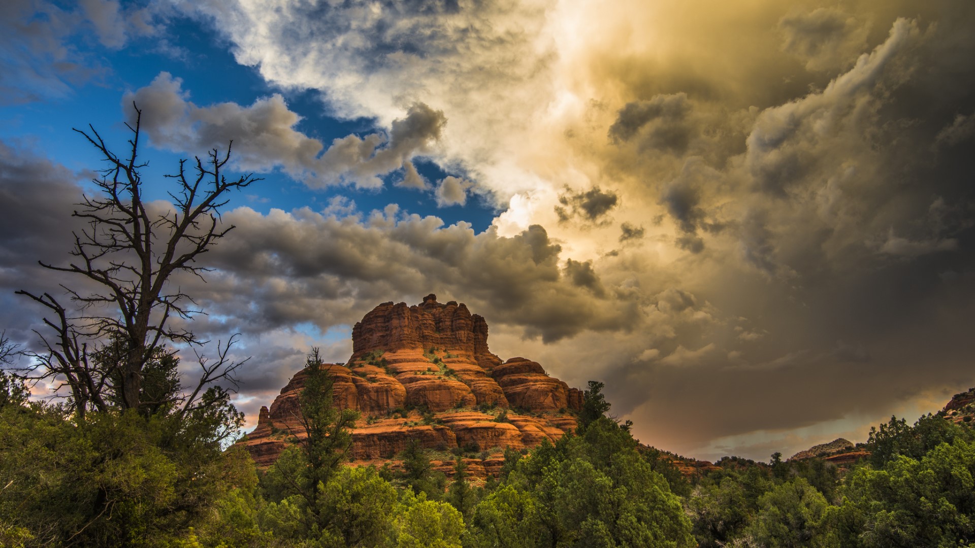 nature, landscape, trees, forest, rock, clouds, branch, HD Wallpaper