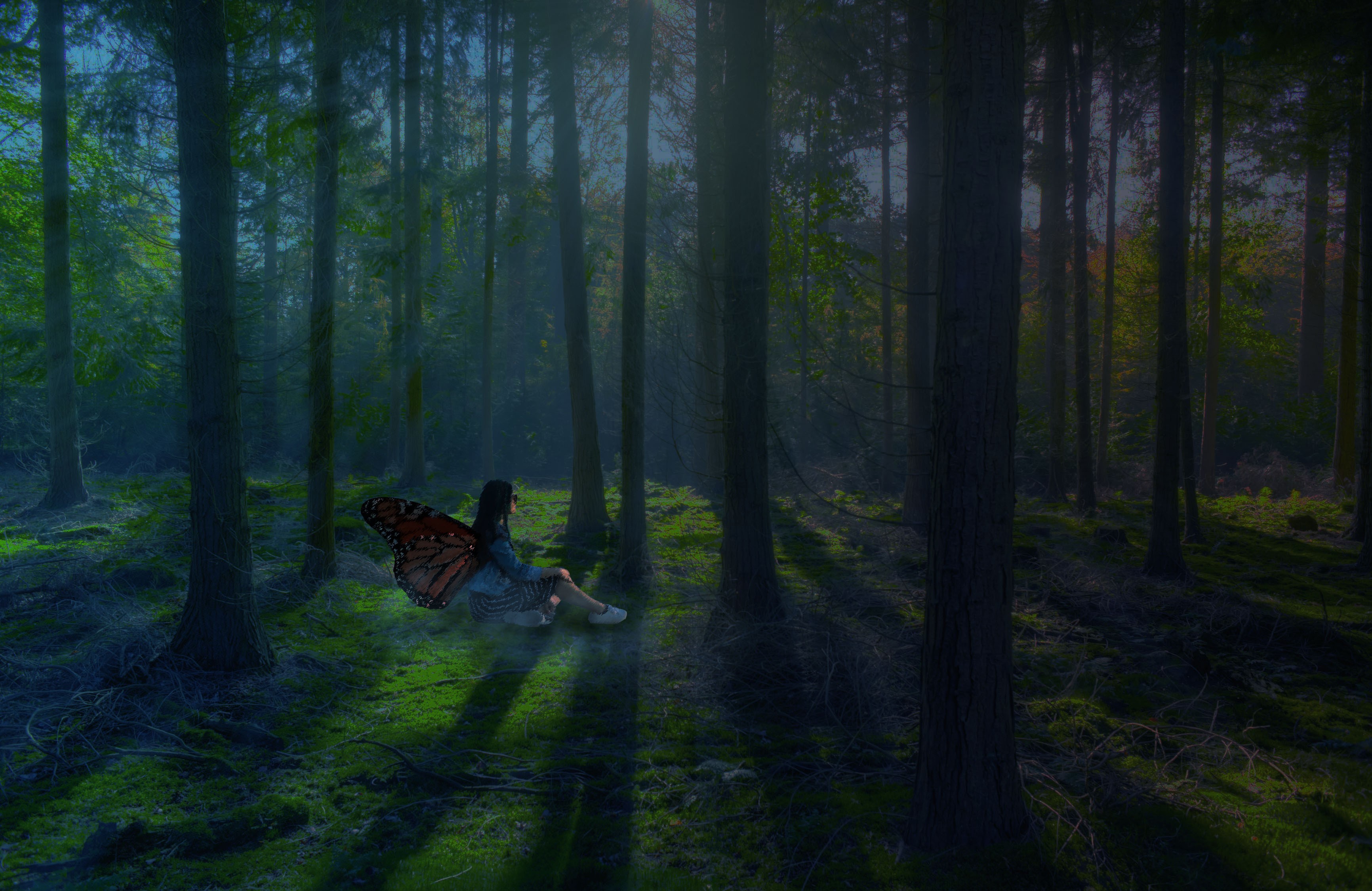 forest, fantasy art, Photoshop, mist, wood, wings, fantasy girl, HD Wallpaper