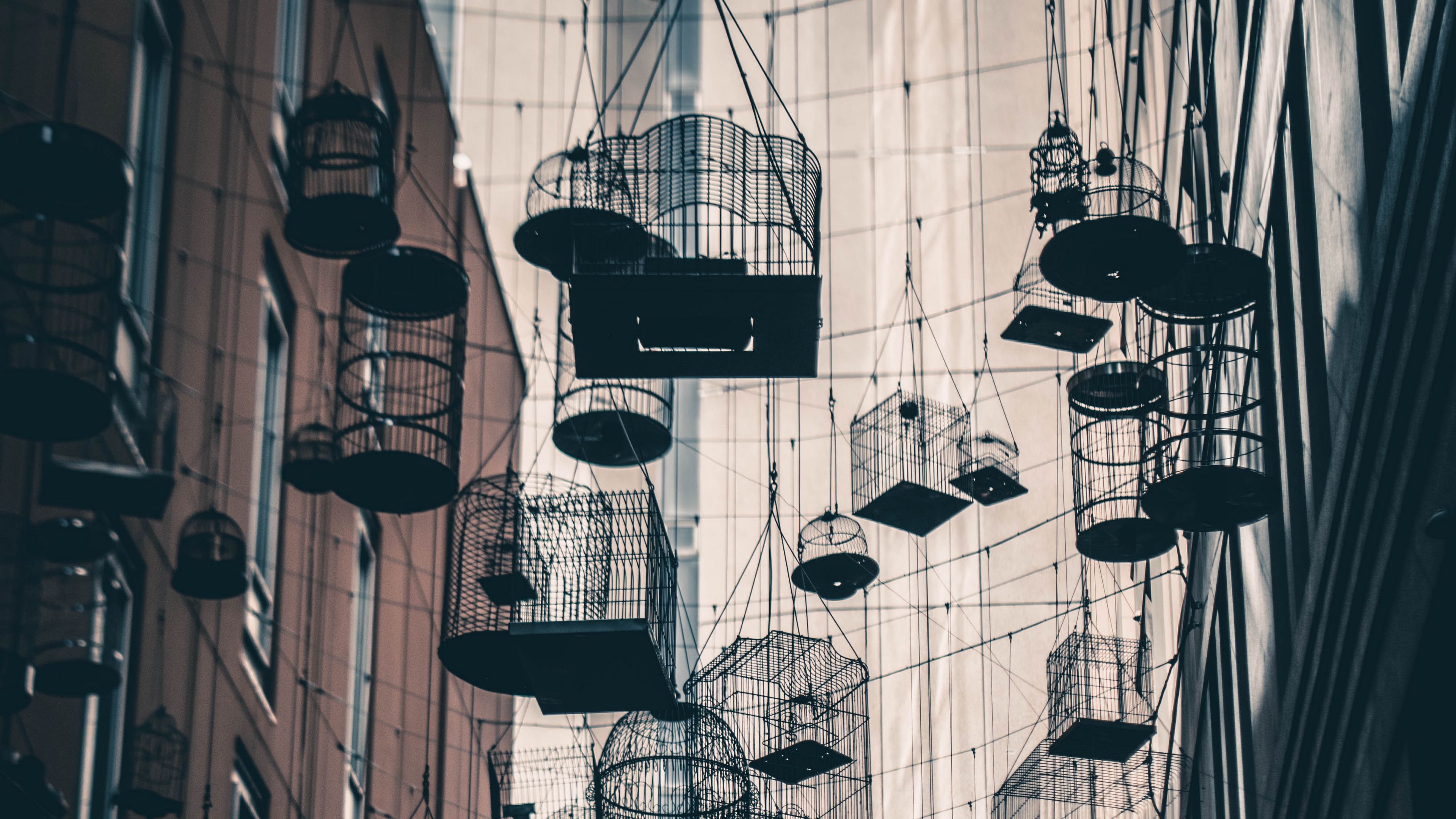 bird cages, buildings, architecture, installation, 4k, HD Wallpaper