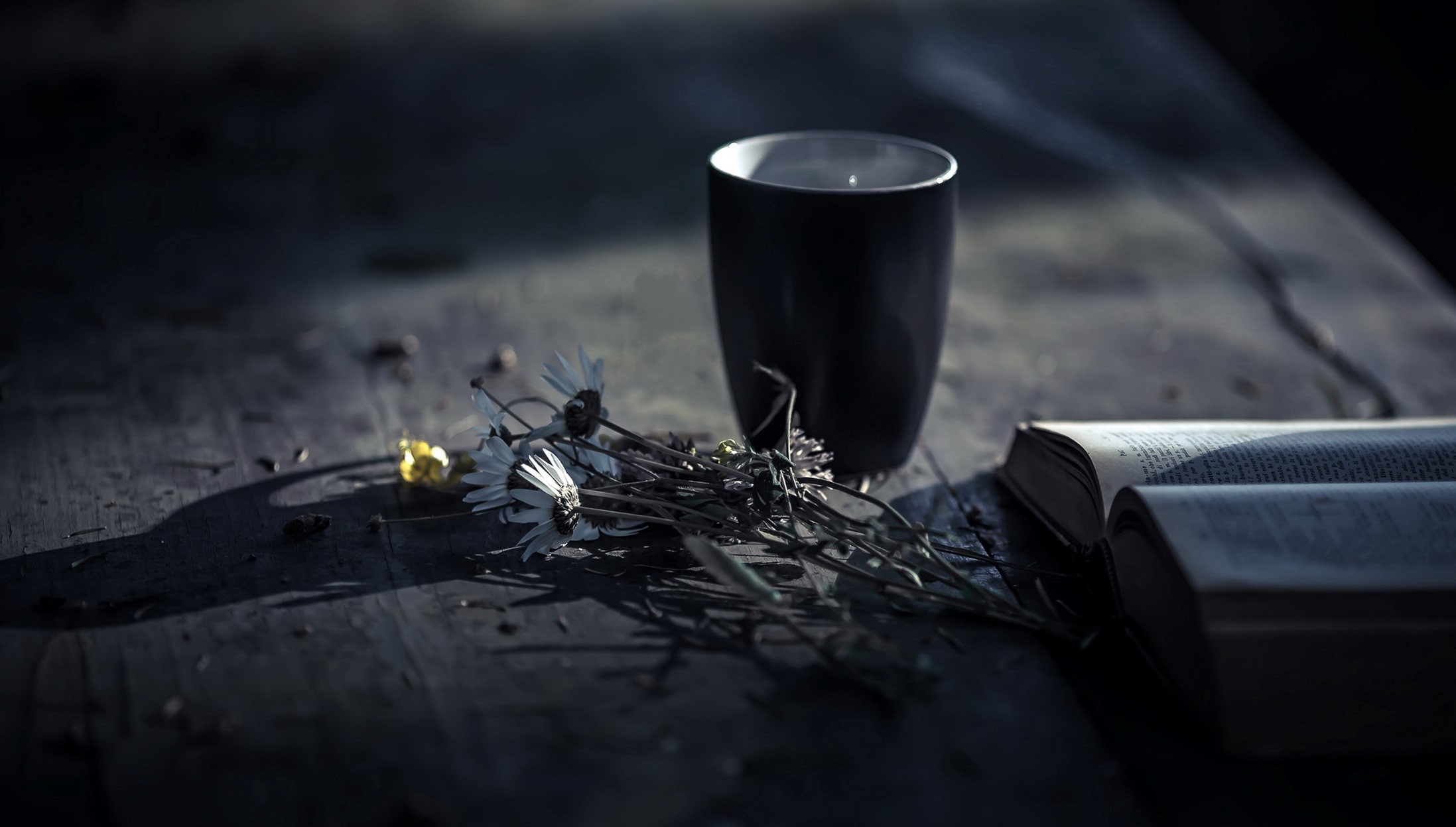 flowers, dark, cup, books, HD Wallpaper