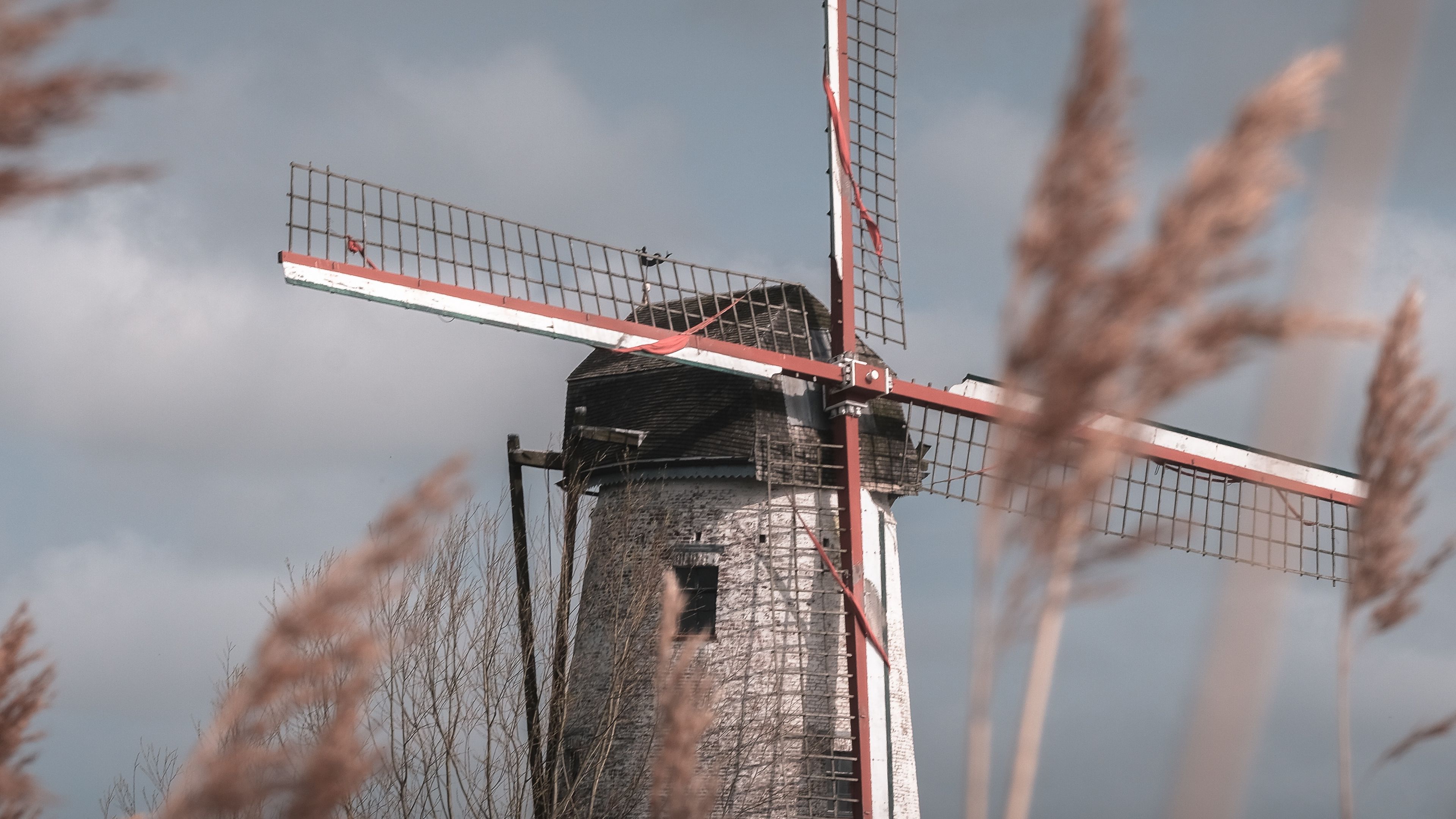 mill, wind, grass, sky, 4k, HD Wallpaper