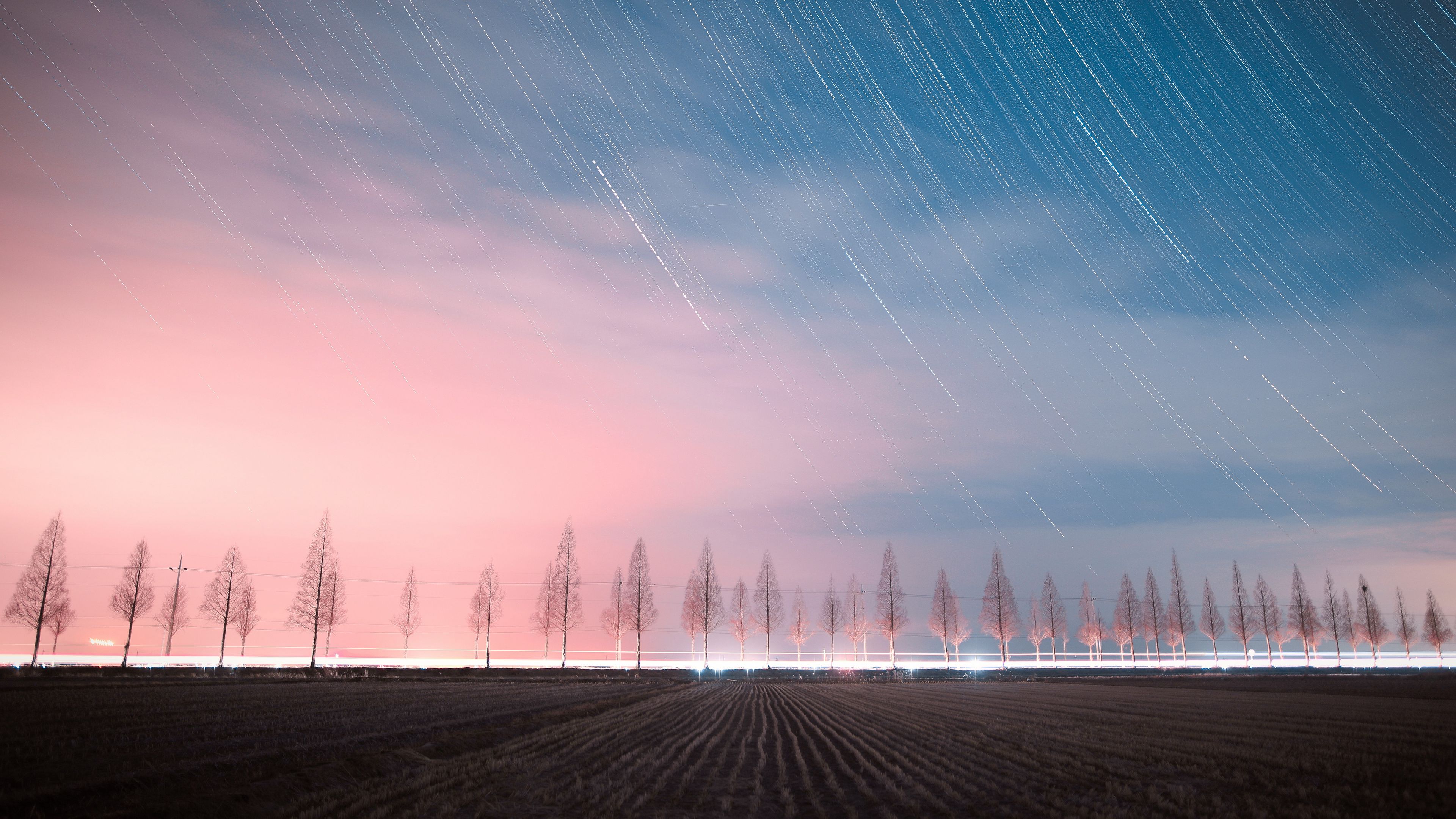 starry sky, trees, night, sky, stars, 4k, HD Wallpaper
