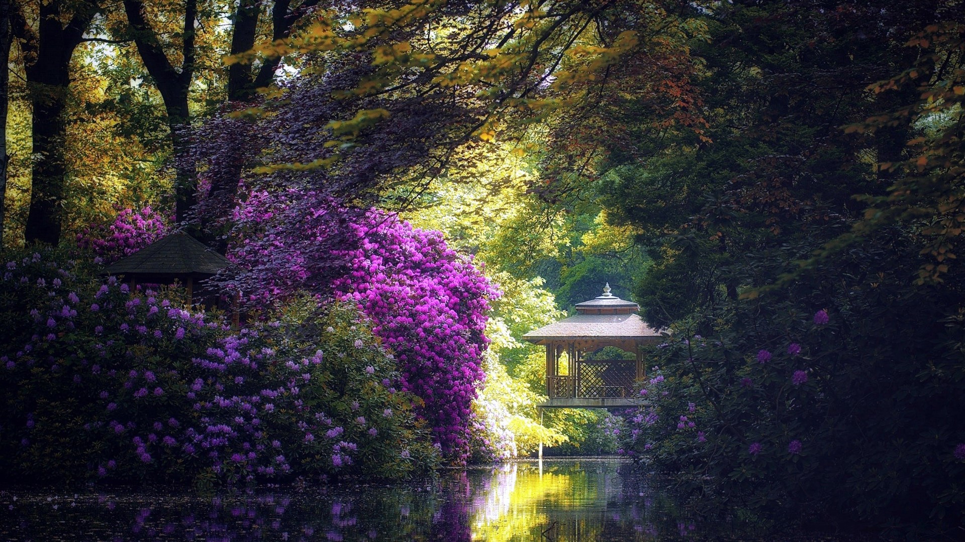 gazebo, nature, pond, trees, colorful, HD Wallpaper