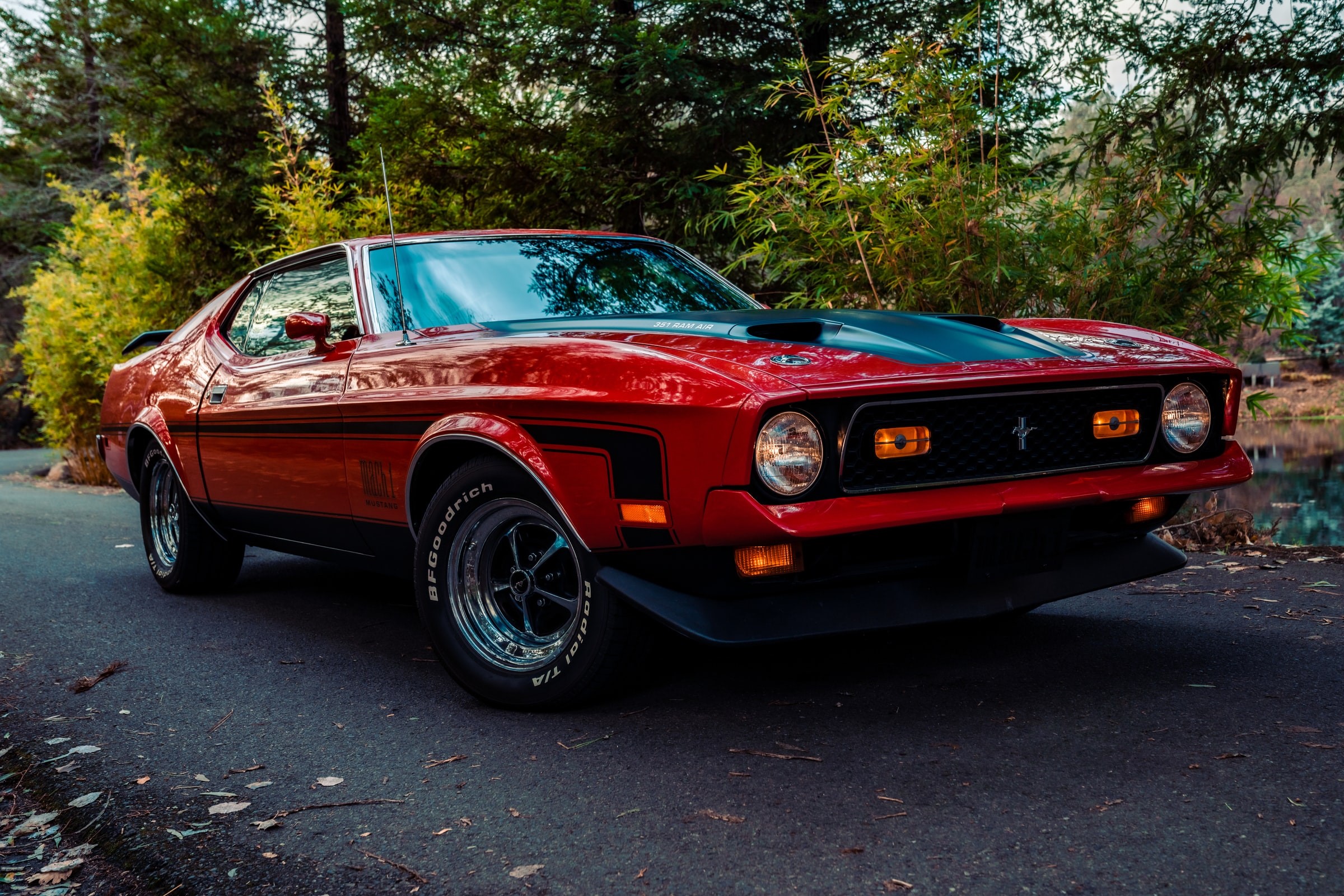 Ford Mustang, Ford, vehicle, car, red cars, road, trees, HD Wallpaper