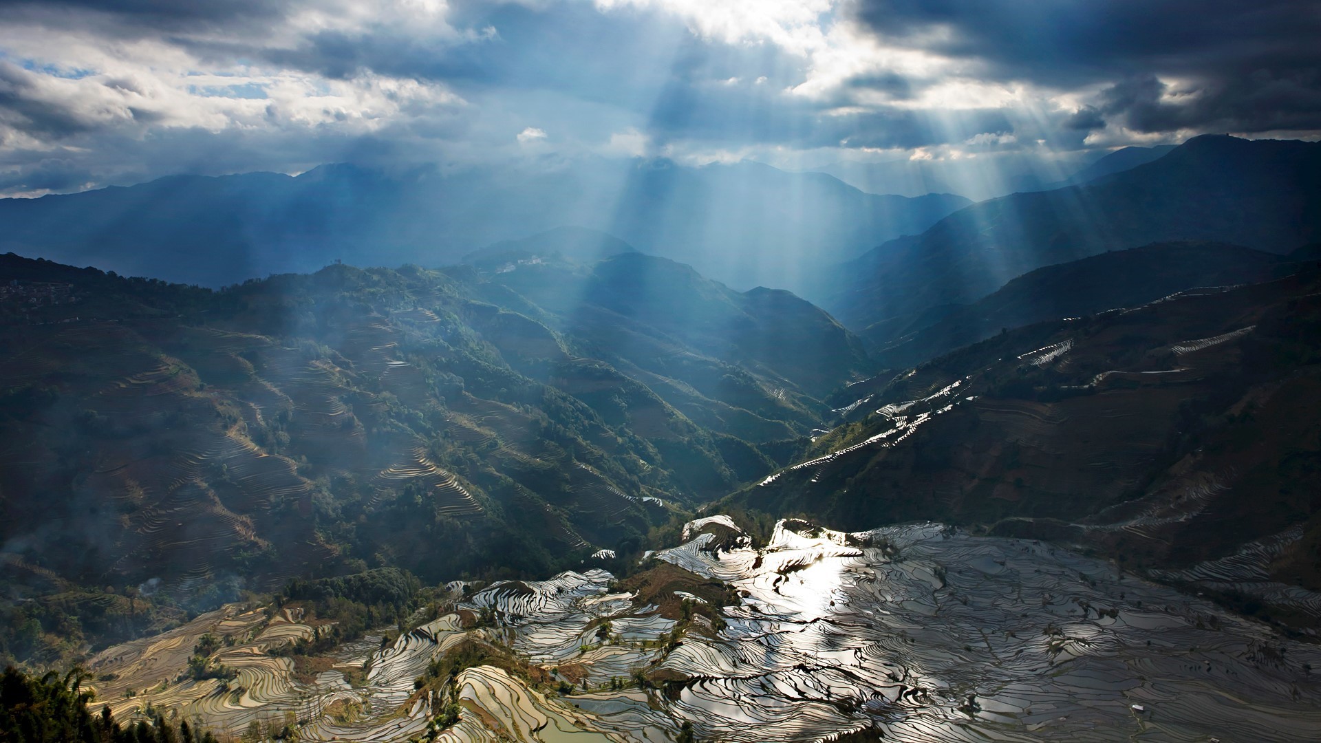 nature, landscape, clouds, Sun, sun rays, trees, field, mist, rice paddy, rice, China, HD Wallpaper