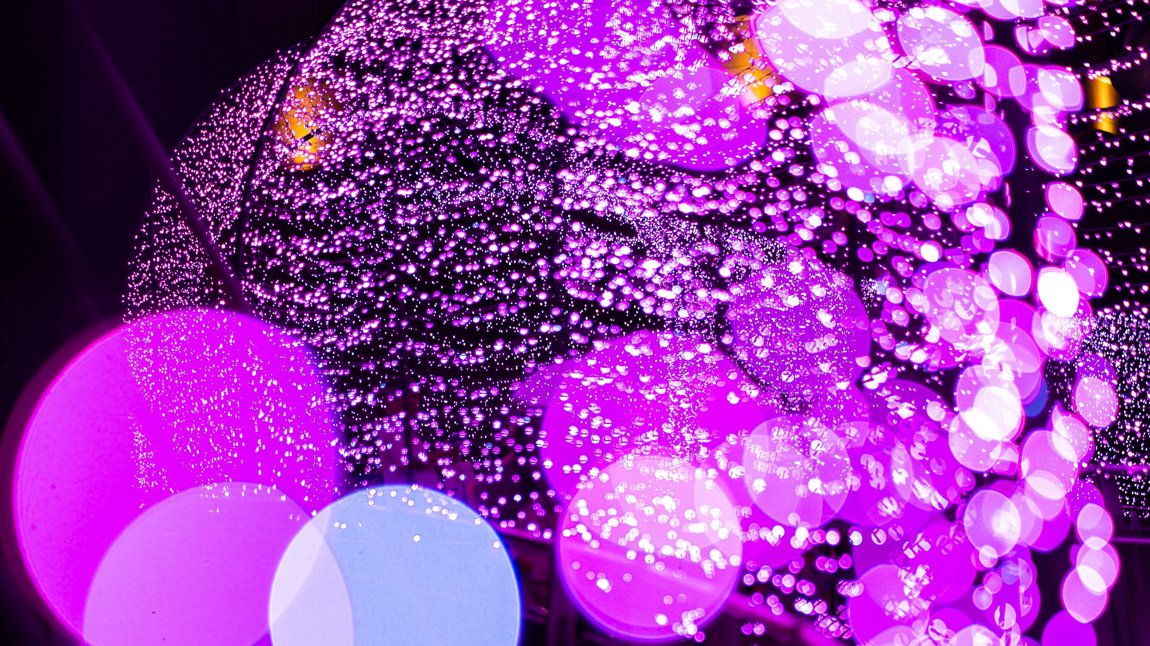 glare, bokeh, purple, circles, 4k, HD Wallpaper