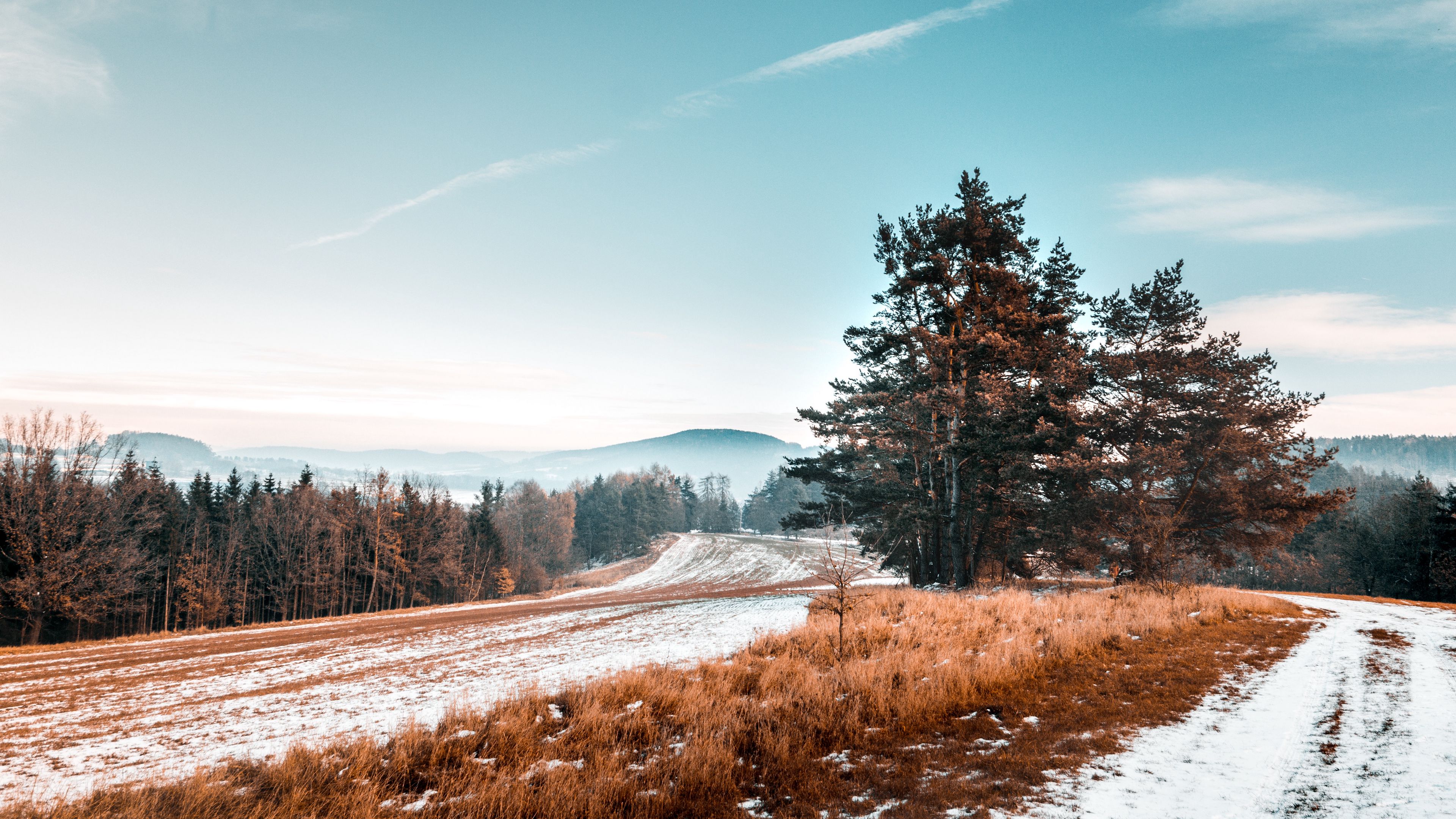 trees, snow, grass, road, sky, landscape, 4k, HD Wallpaper