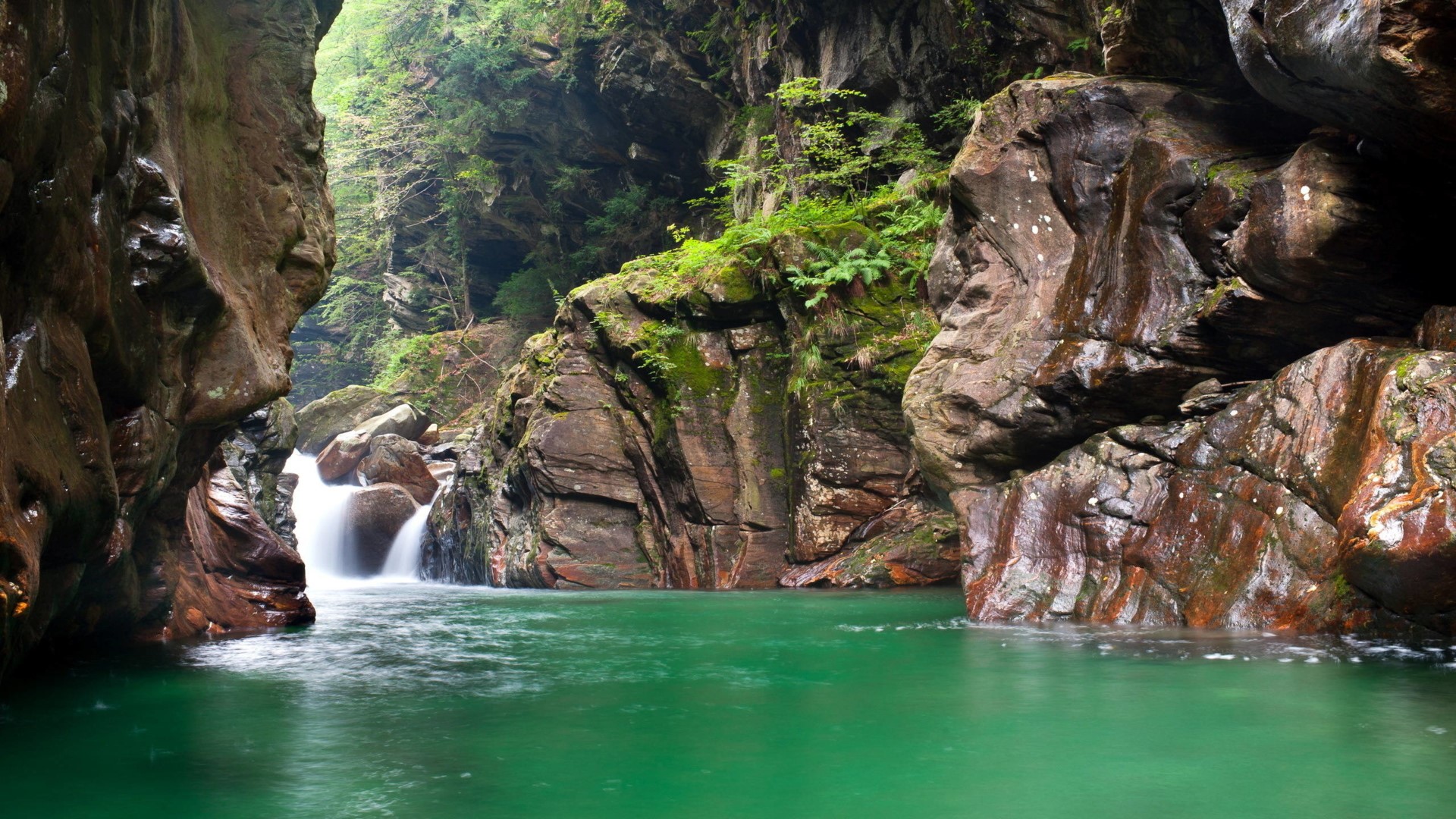 nature, landscape, river, mountains, moss, trees, Verzasca, Switzerland, rocks, HD Wallpaper