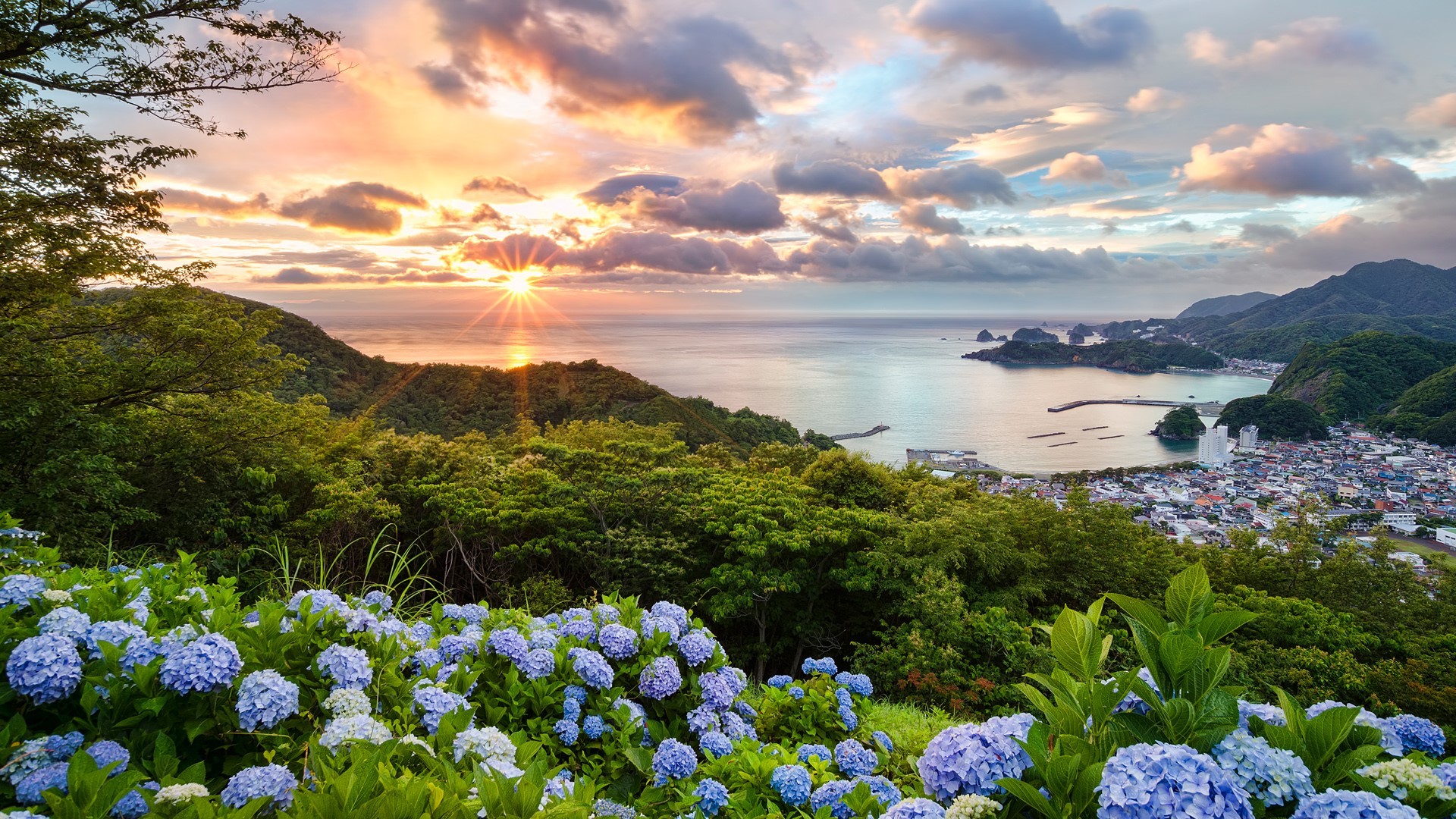 nature, landscape, trees, flowers, clouds, Sun, horizon, plants, purple, town, forest, Japan, HD Wallpaper