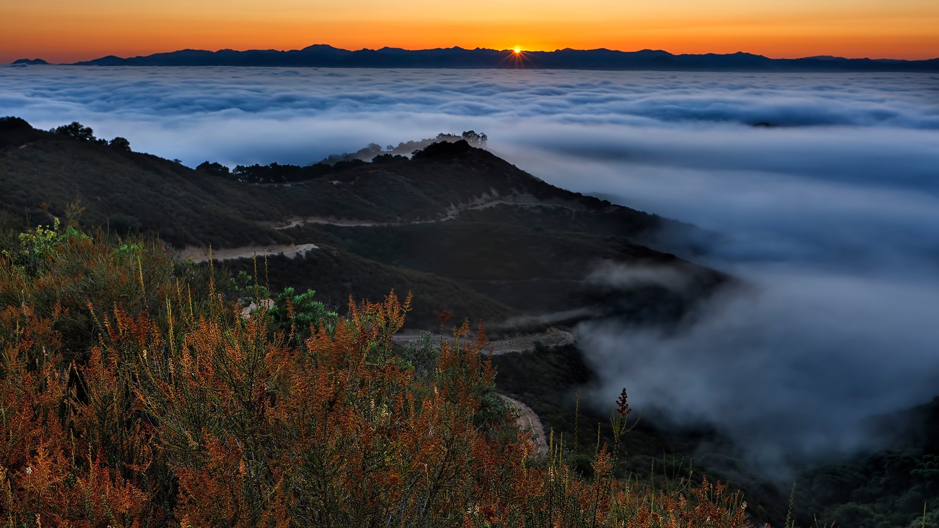nature, landscape, far view, clouds, mountains, plants, Sun, trees, sunset, Mount Diablo, California, USA, HD Wallpaper