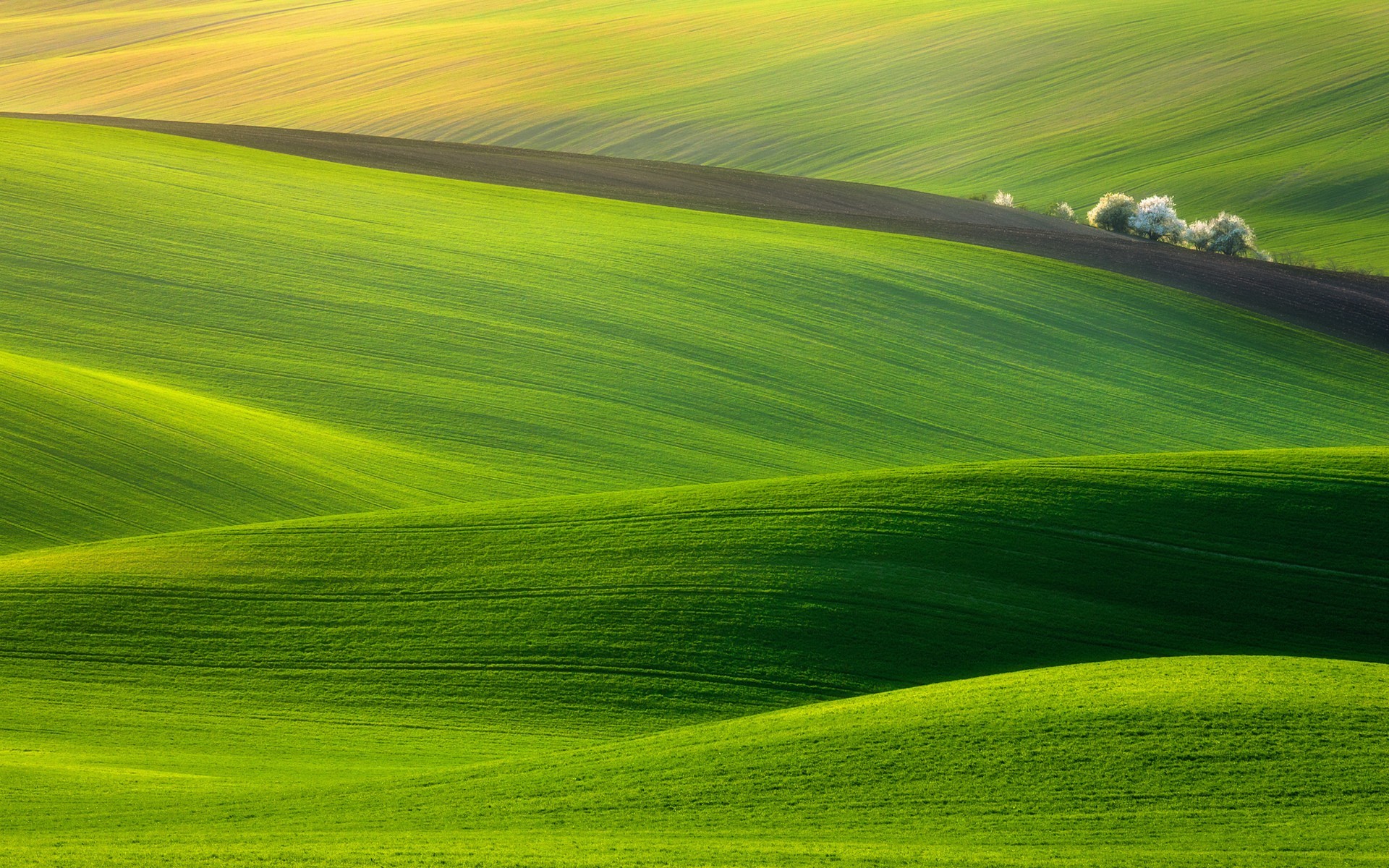 nature, landscape, grass, field, hills, HD Wallpaper