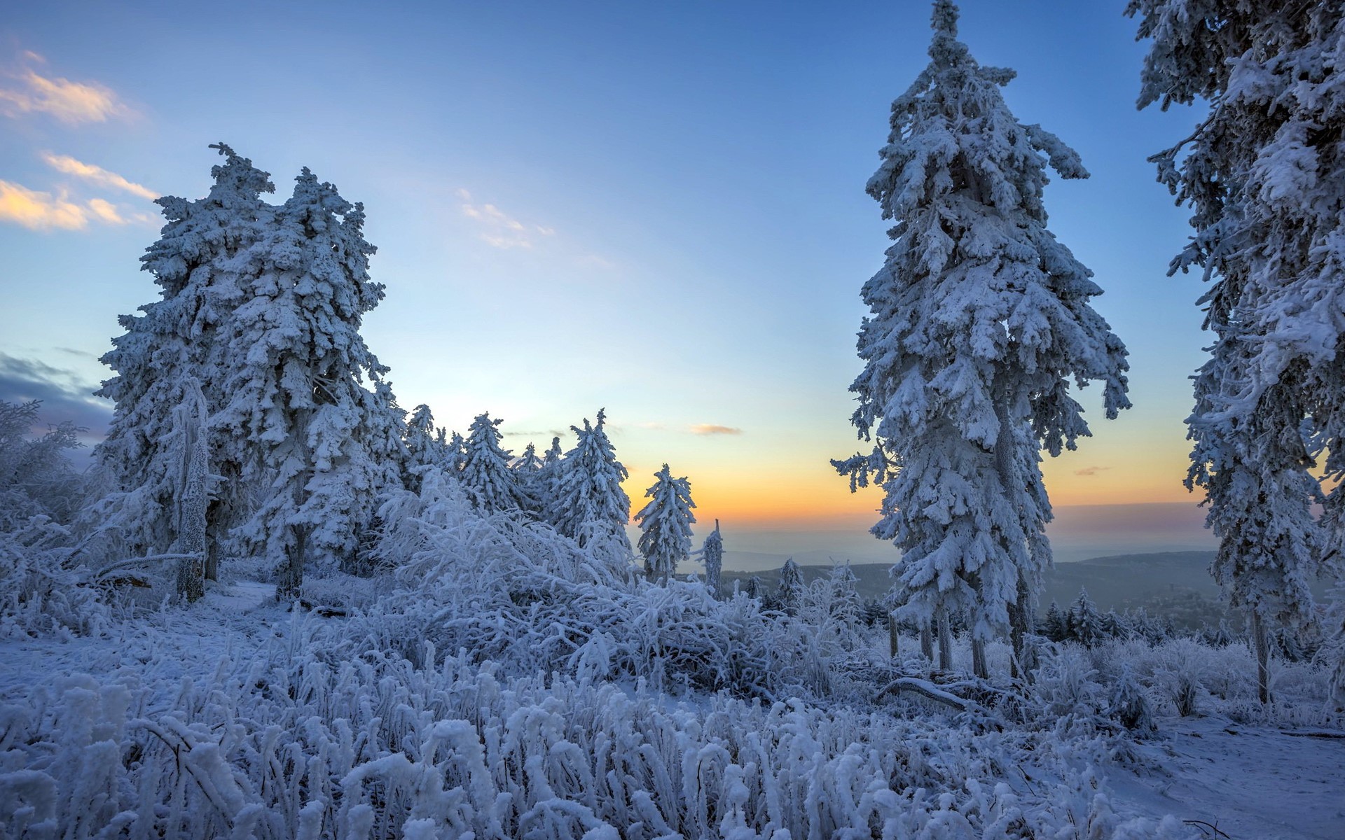 winter, nature, snow, sunrise, HD Wallpaper