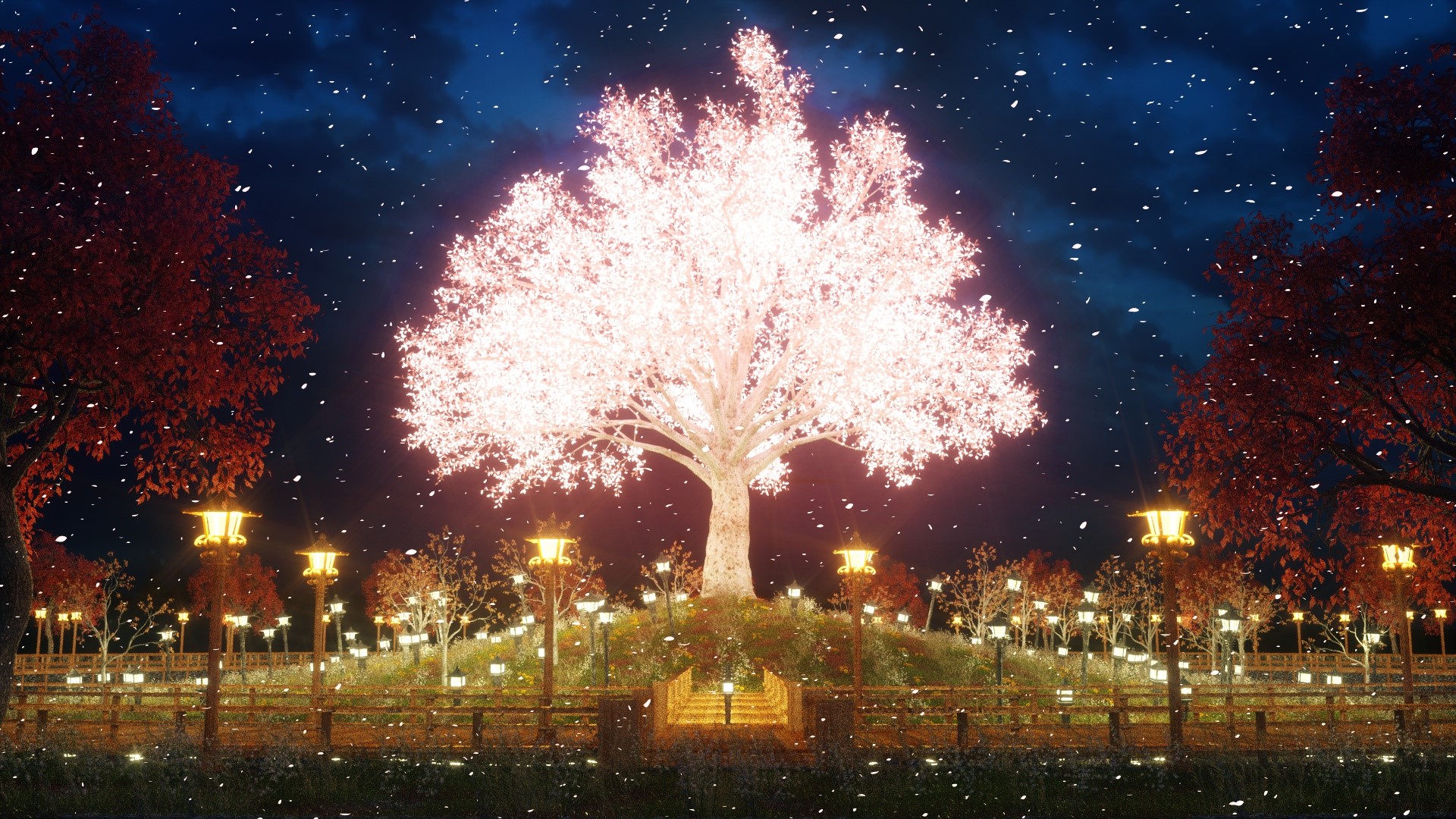 cherry trees, pink, petals, HD Wallpaper