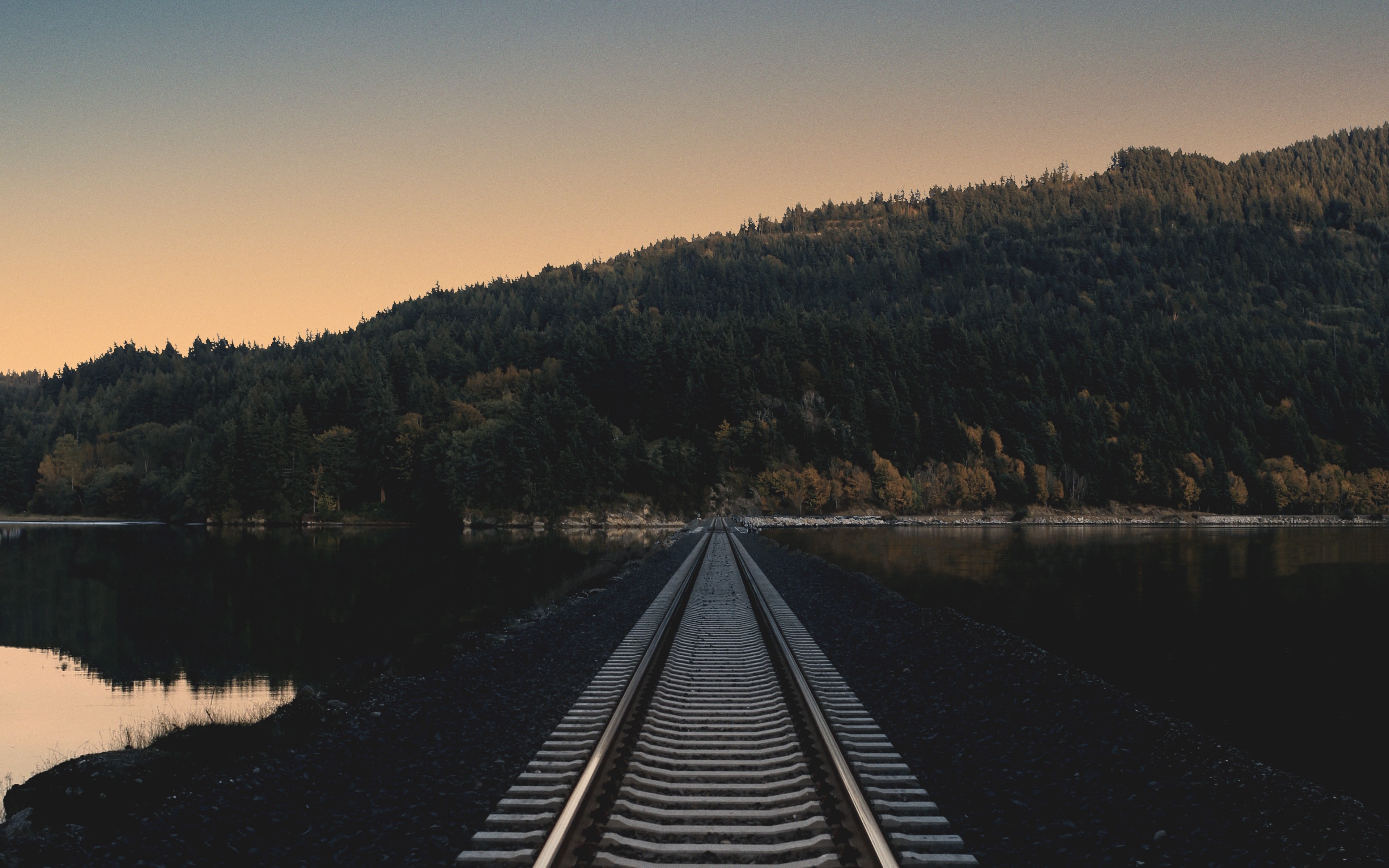nature, railroad track, trees, sky, HD Wallpaper