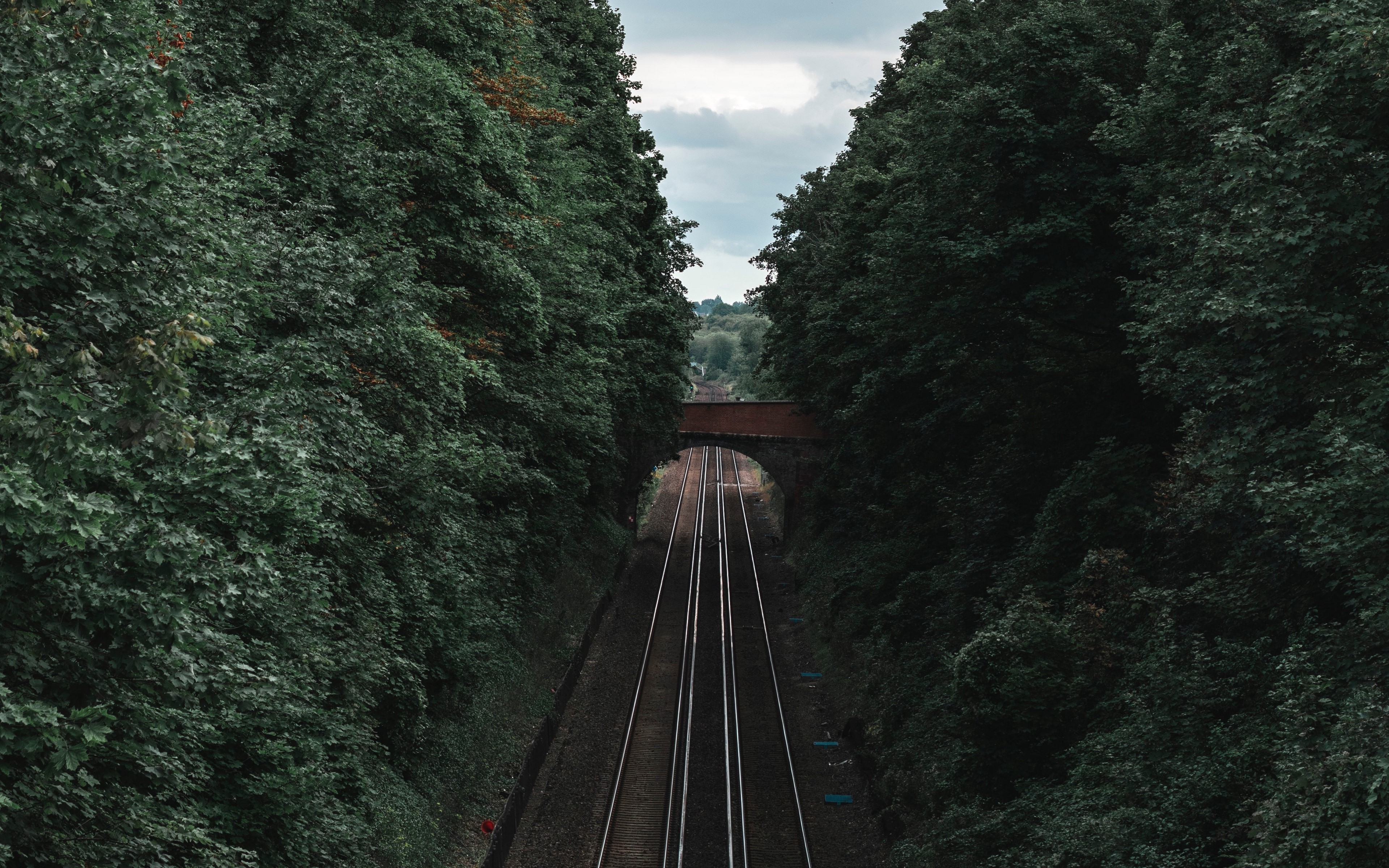 nature, railroad track, trees, sky, HD Wallpaper