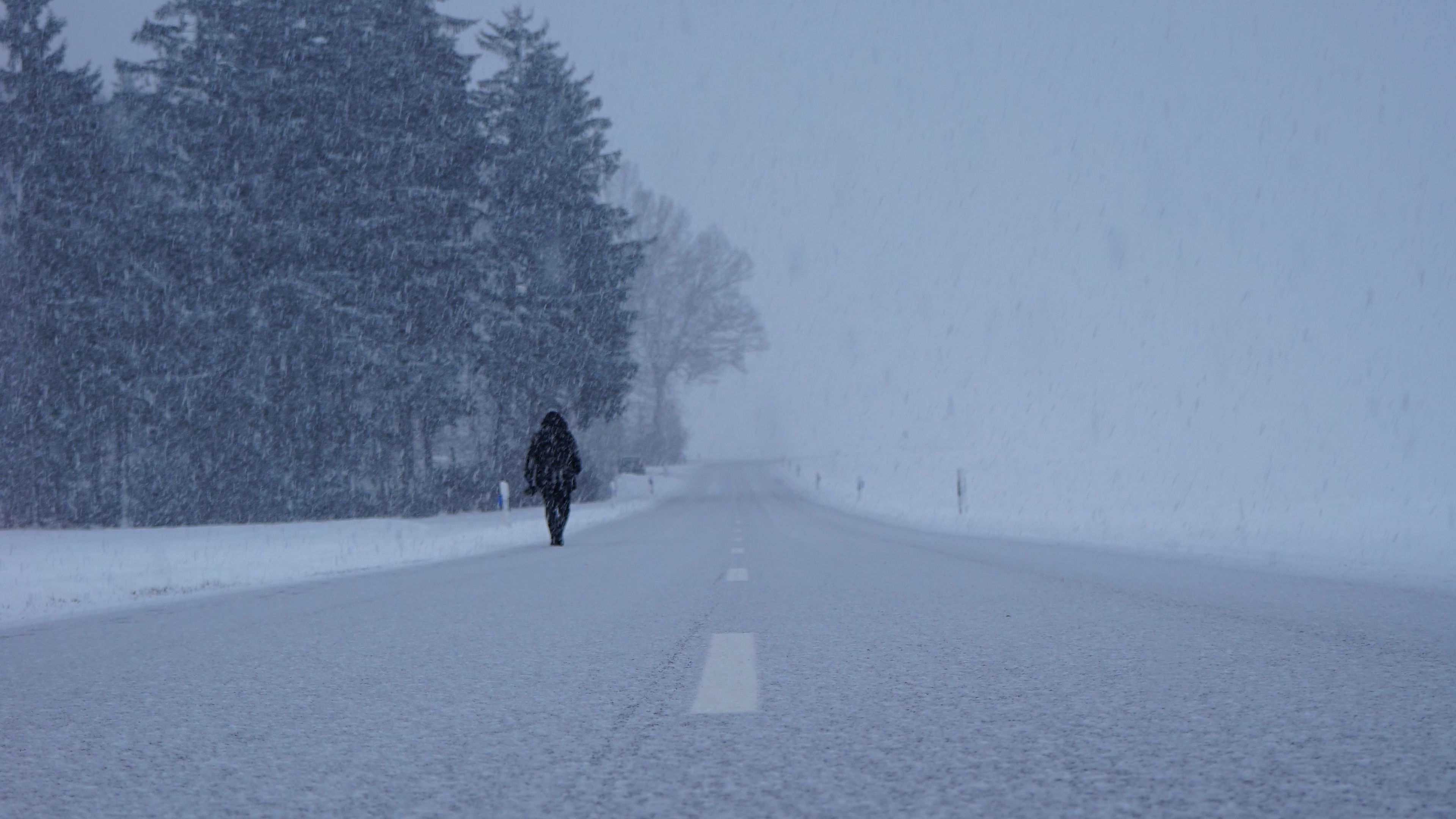 silhouette, winter, fog, snowstorm, snowfall, road, 4k, HD Wallpaper