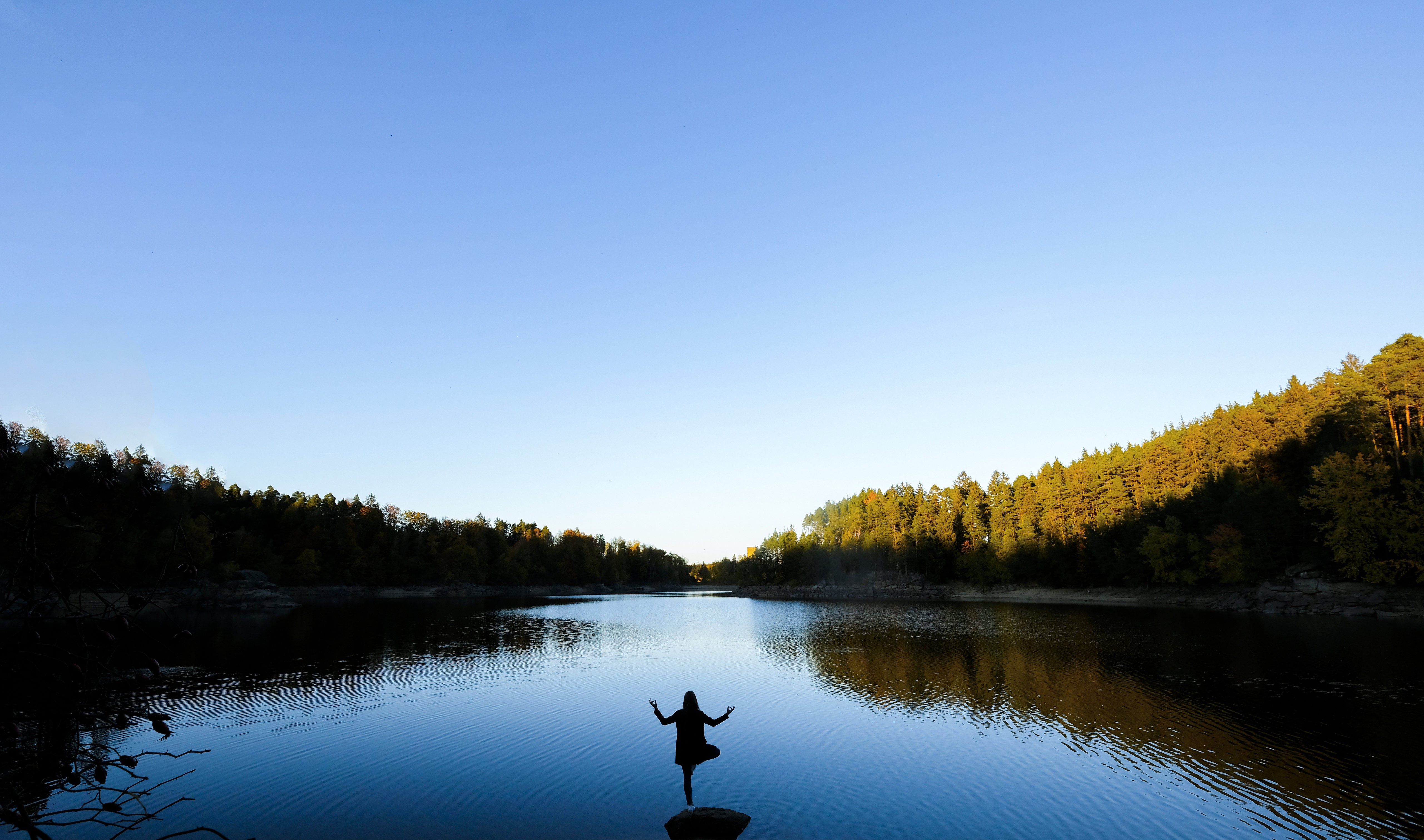 forest, water, ottenstein, Germany, Austria, Ottenstein Reservoir, HD Wallpaper