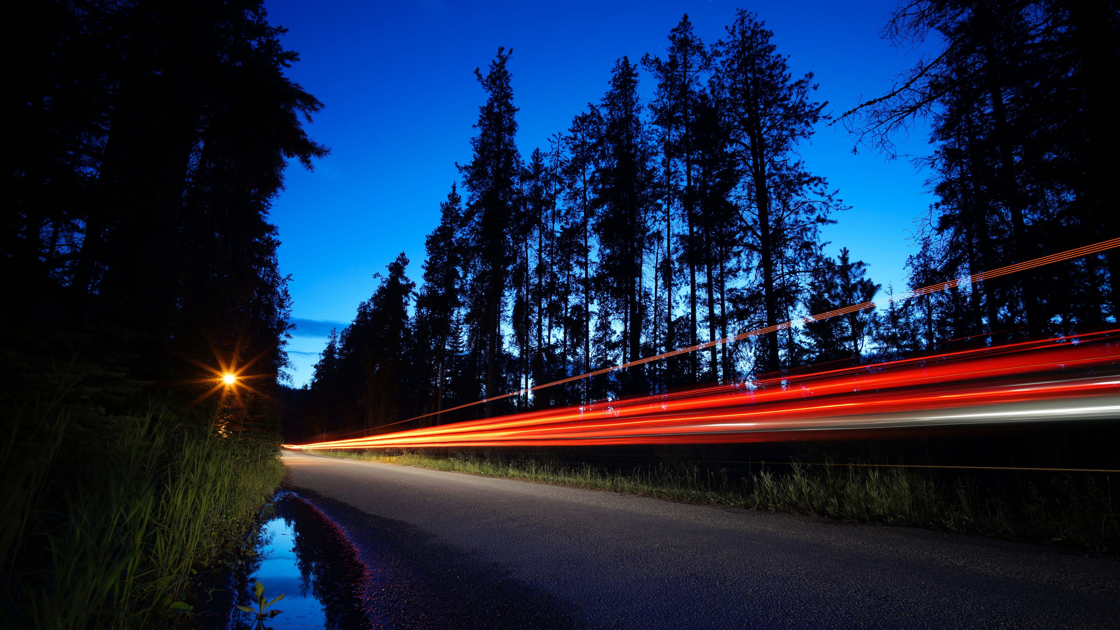 trees, road, long exposure, night, 4k, HD Wallpaper