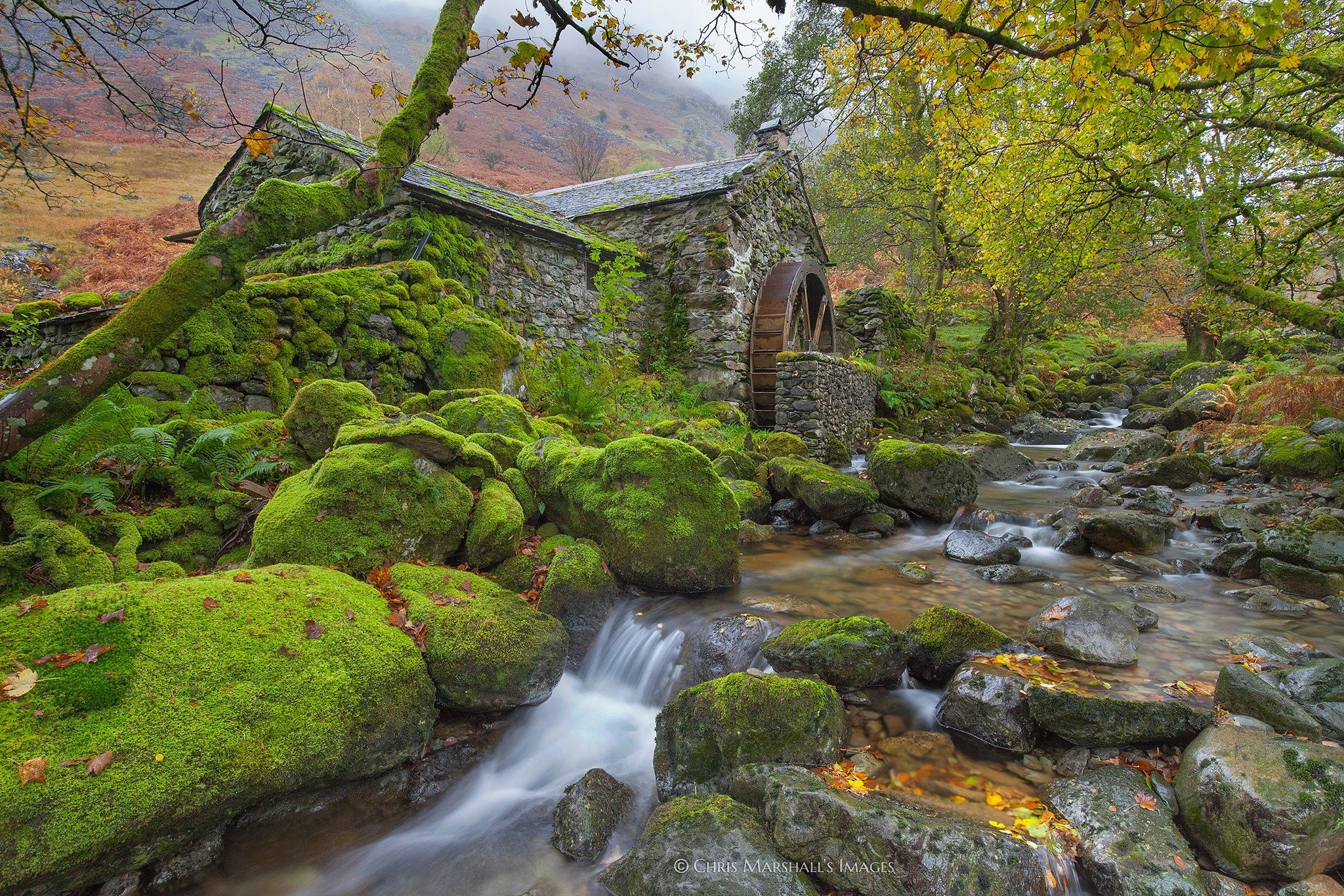 water, plants, England, Water Mills, moss, Cumbria, HD Wallpaper