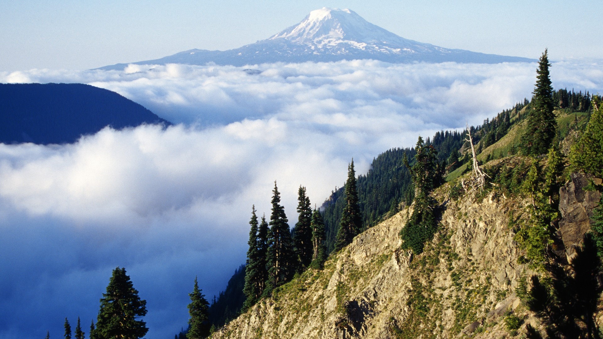 nature, landscape, mountains, trees, forest, far view, clouds, snowy peak, sky, Mount Adams, Washington, USA, HD Wallpaper