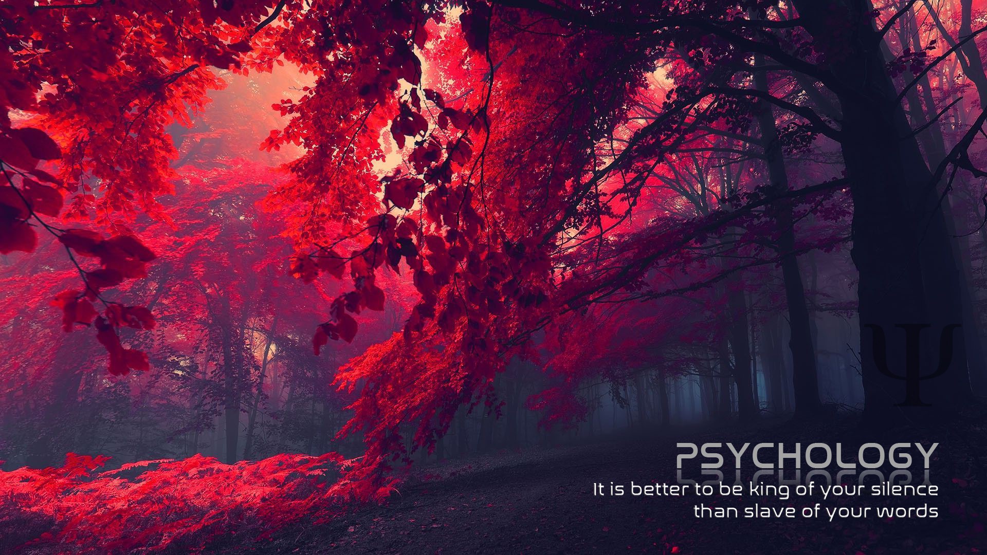 William Shakespeare, fall, red, dark, text, HD Wallpaper