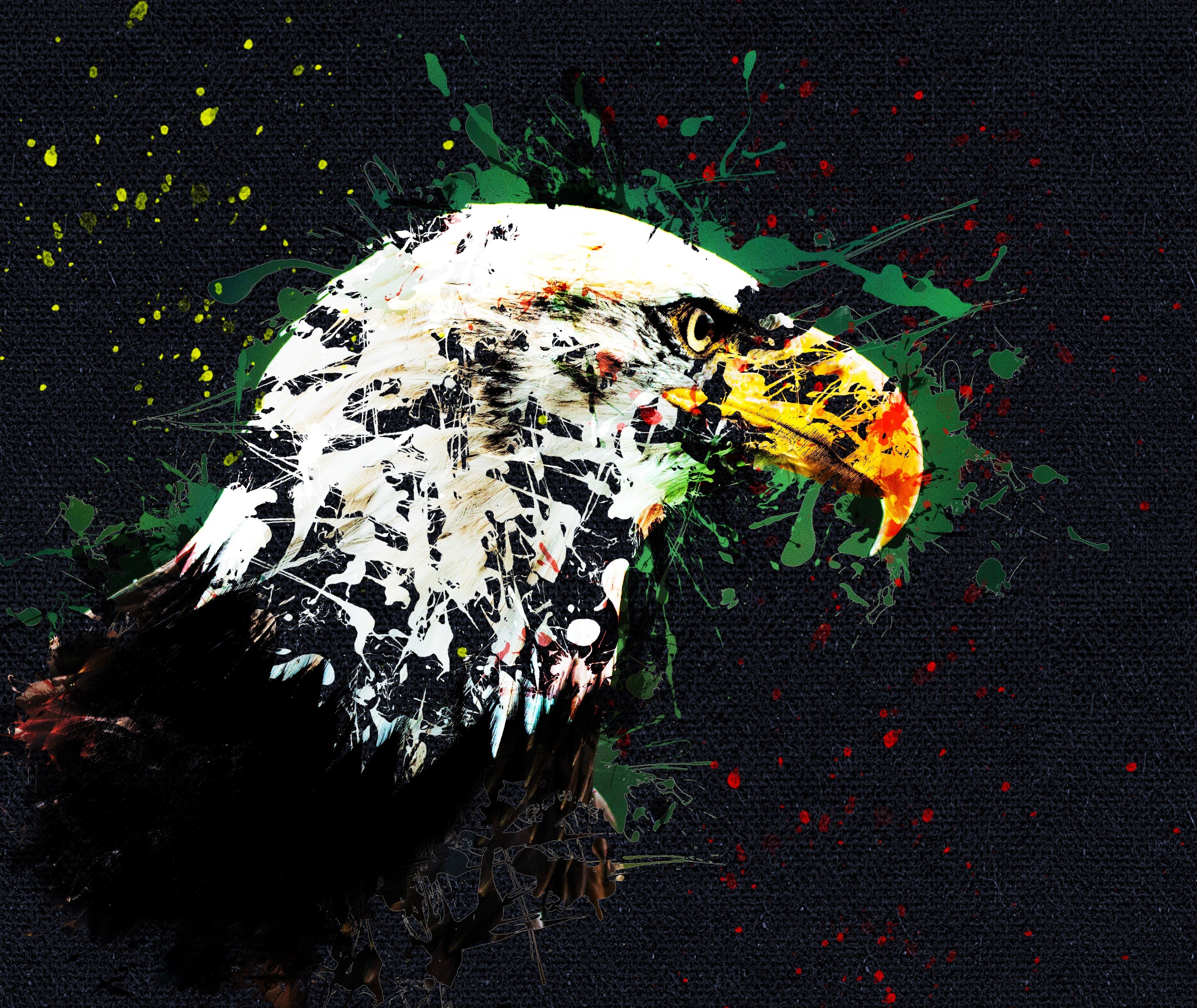 eagle, beak, cover art, colorful, HD Wallpaper