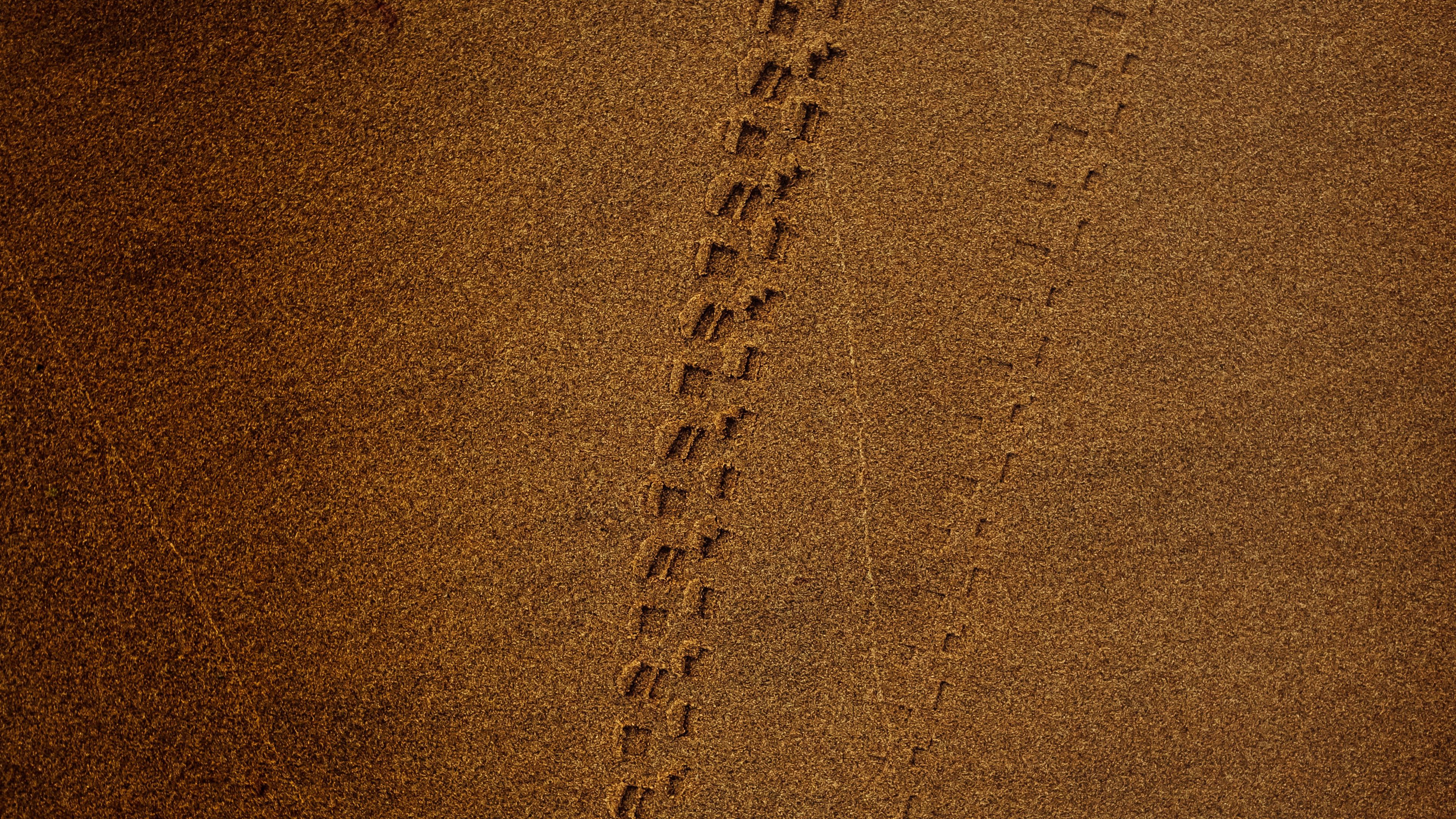 trace, sand, brown, 4k, HD Wallpaper