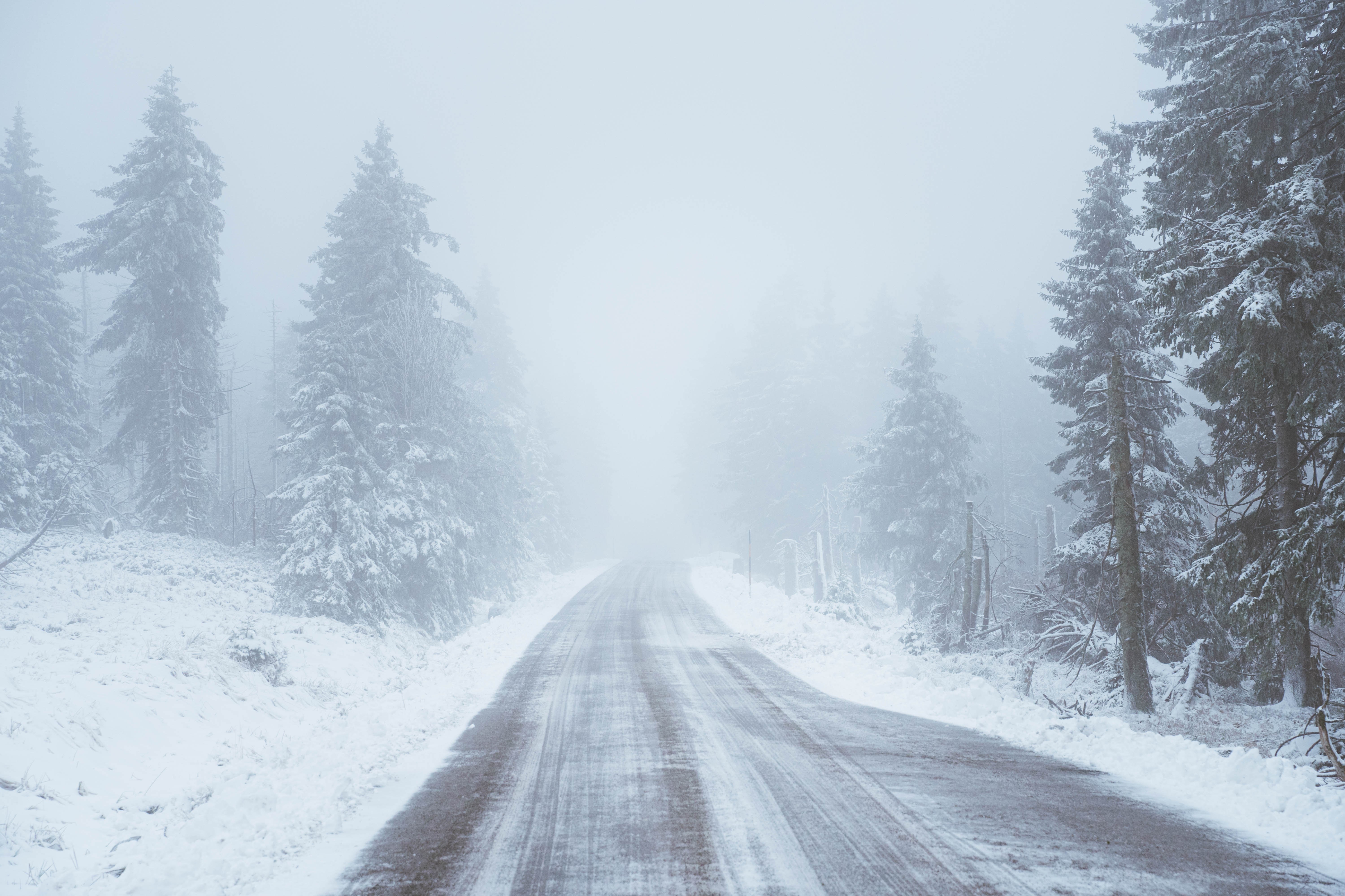 winter, snow, road, trees, HD Wallpaper