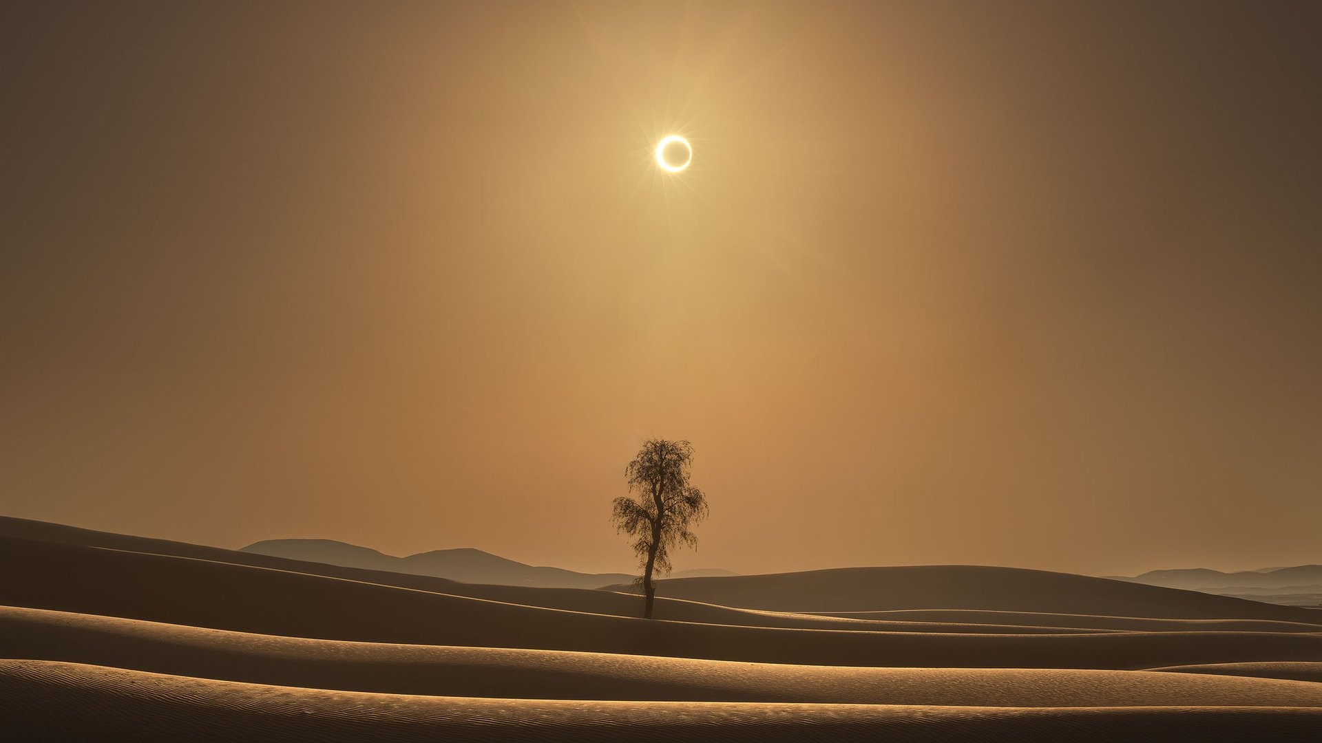landscape, desert, eclipse, HD Wallpaper
