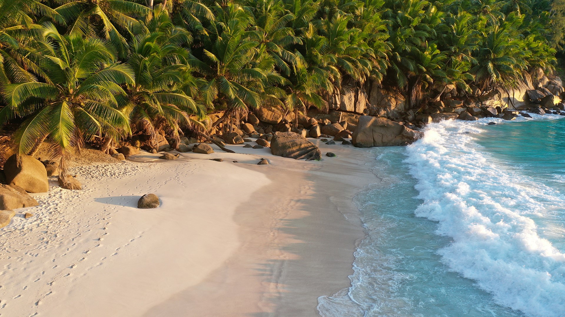 beach, sand, palm trees, water, photography, HD Wallpaper