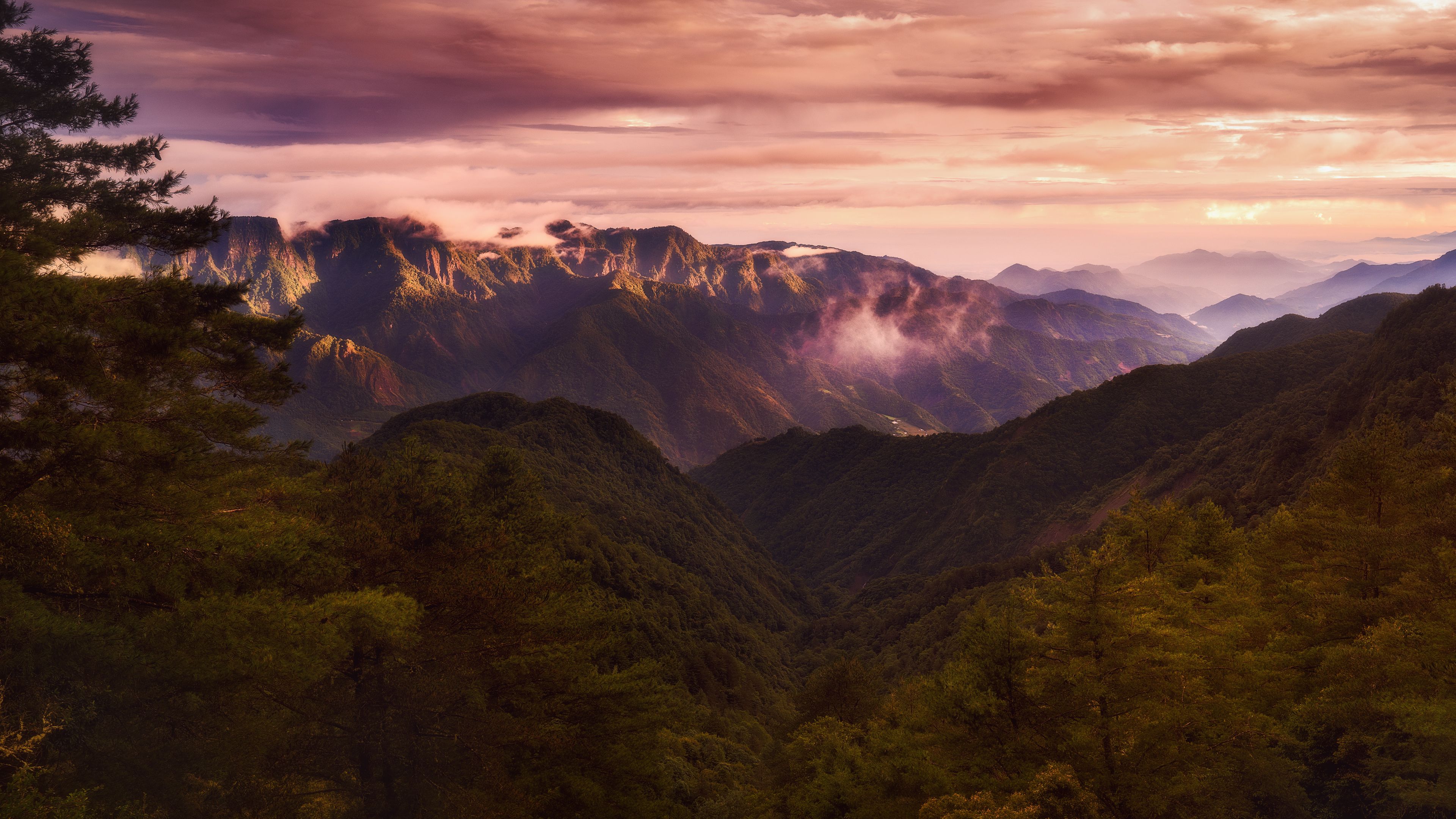 mountains, clouds, spruce, 4k, HD Wallpaper