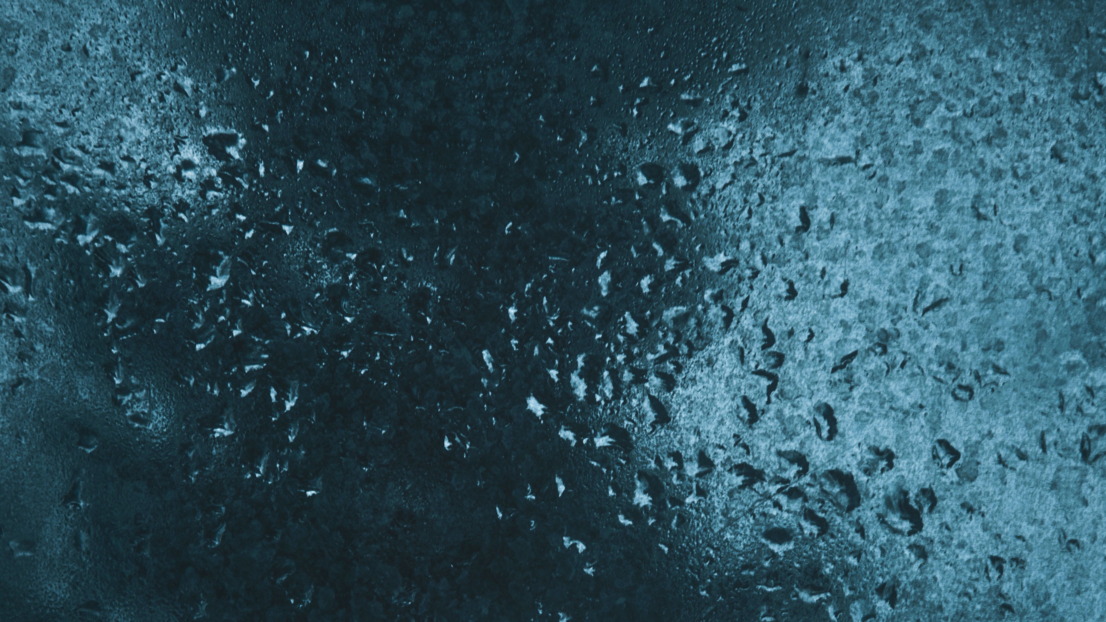 drops, glass, rain, surface, blur, macro, 4k, HD Wallpaper