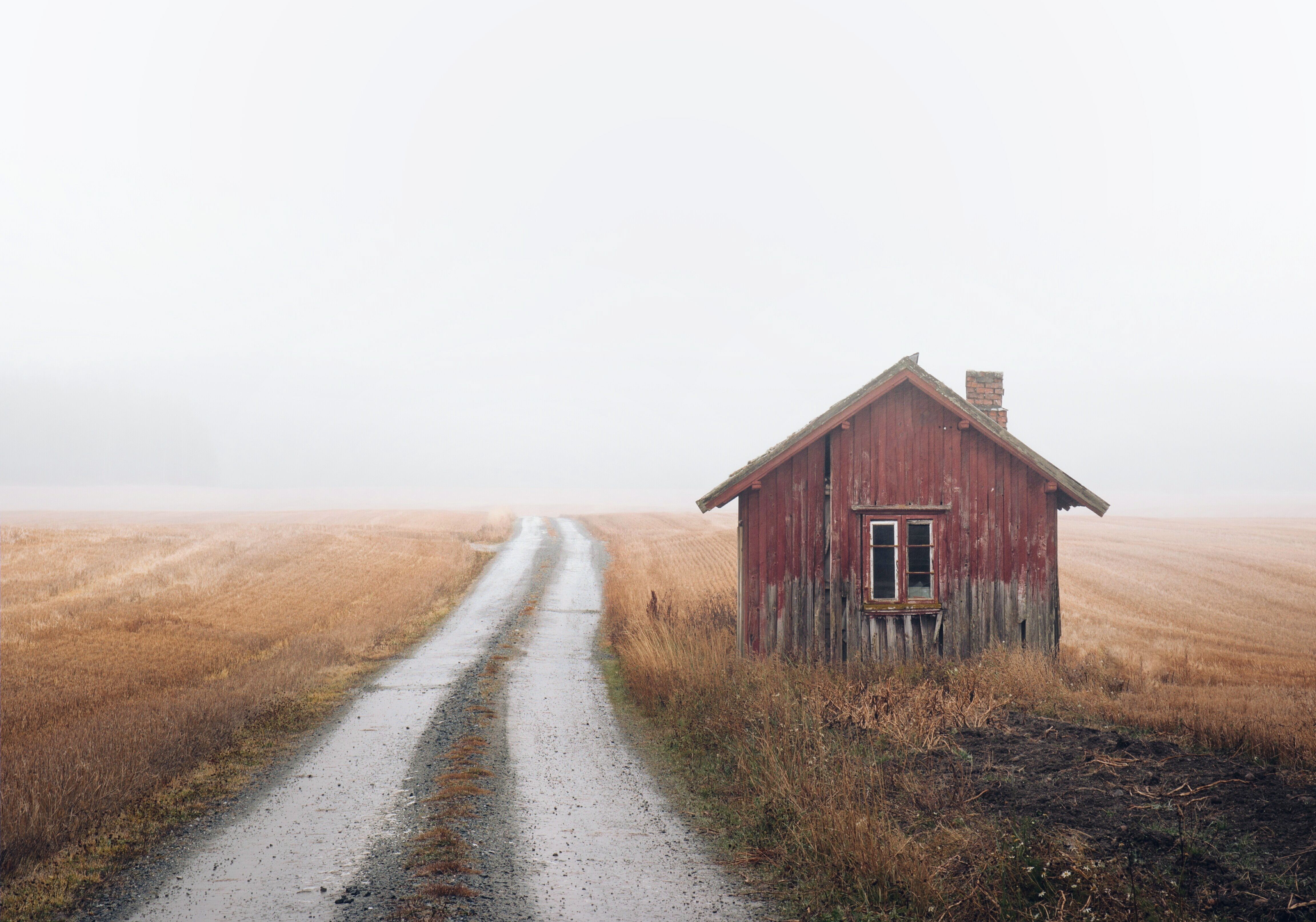 mist, house, nature, HD Wallpaper