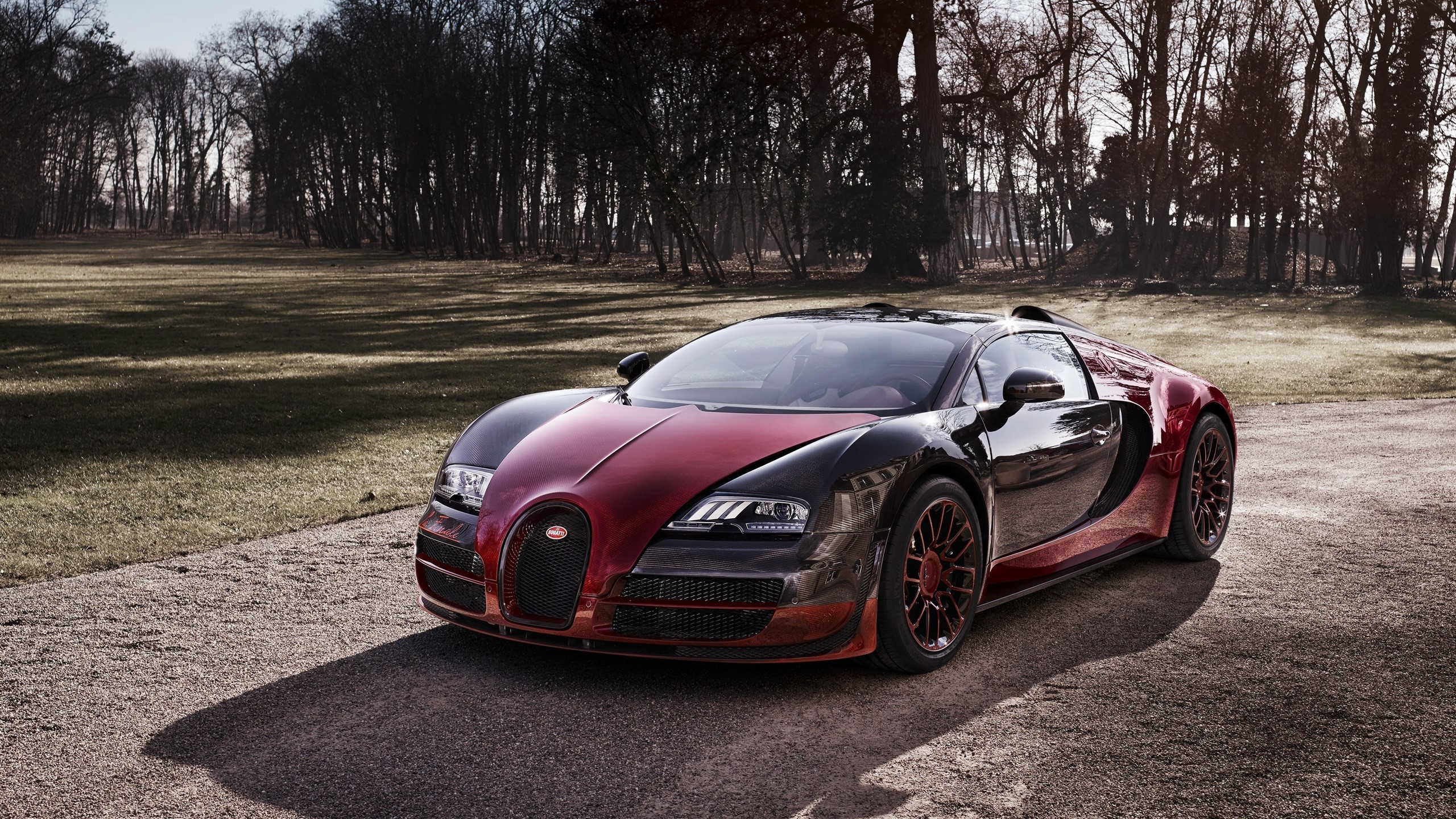 Bugatti, supercars, car, vehicle, sunlight, asphalt, daylight, trees, grass, sky, nature, HD Wallpaper