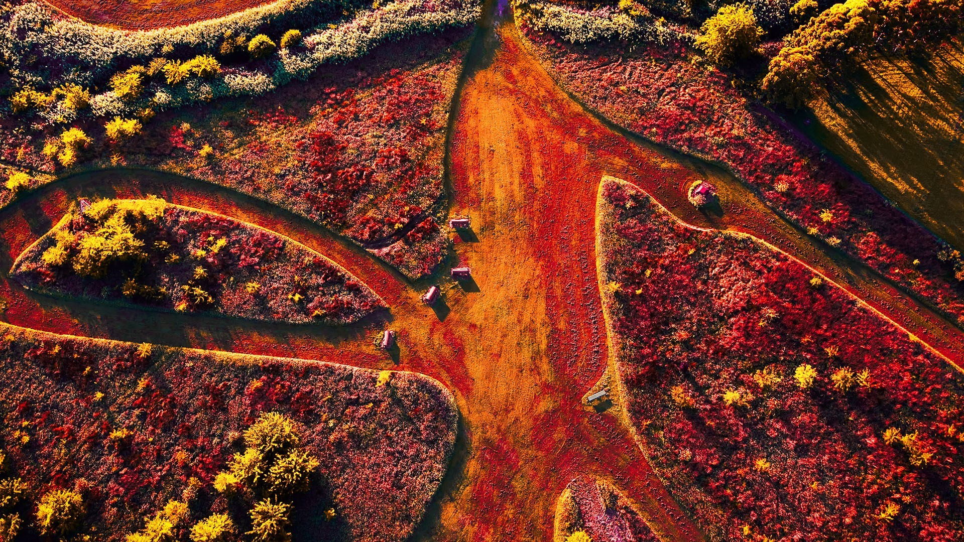 plants, trees, silo, road, dirt road, New South Wales, Australia, aerial view, HD Wallpaper