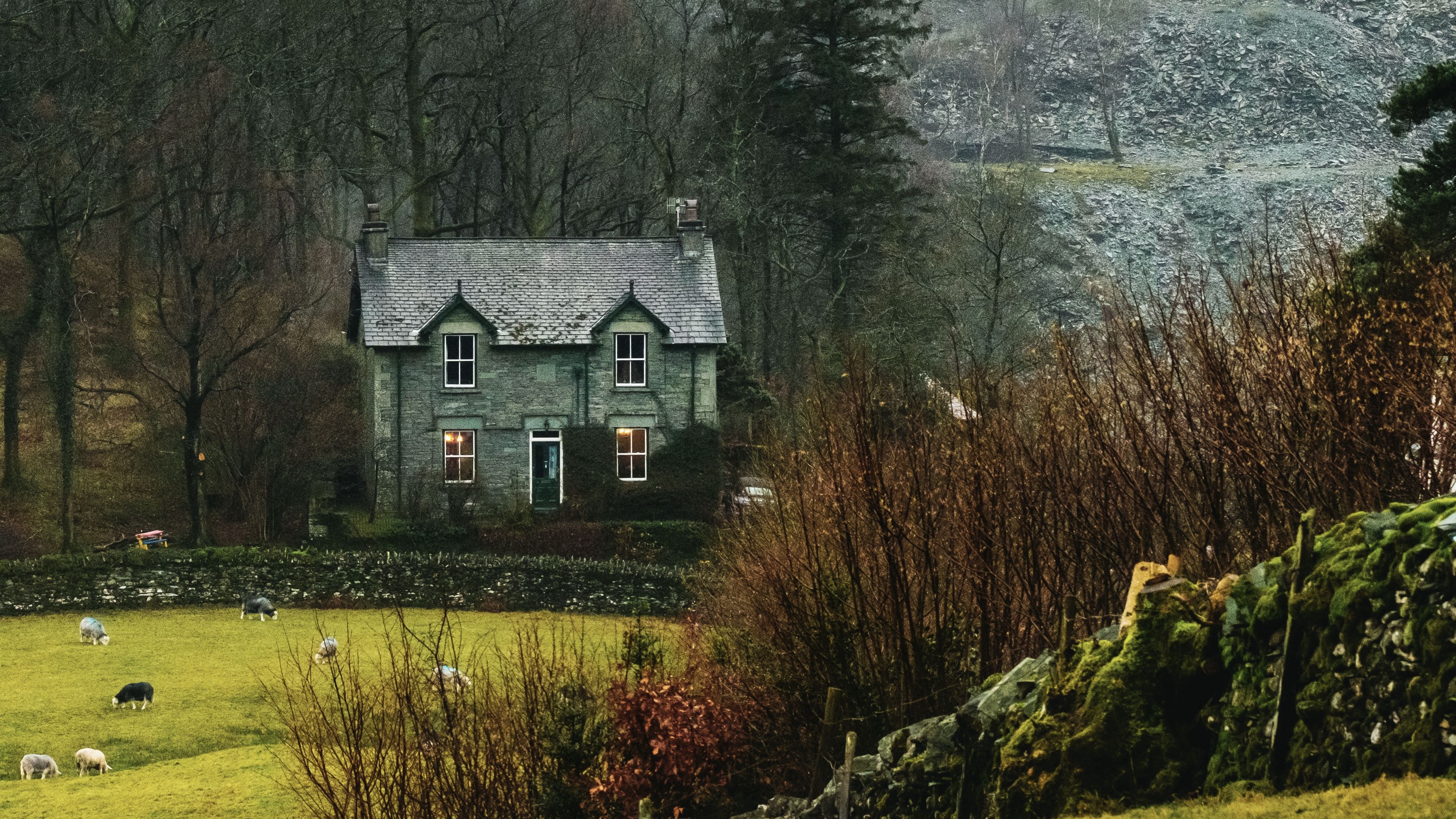 house, fog, grass, landscape, village, 4k, HD Wallpaper