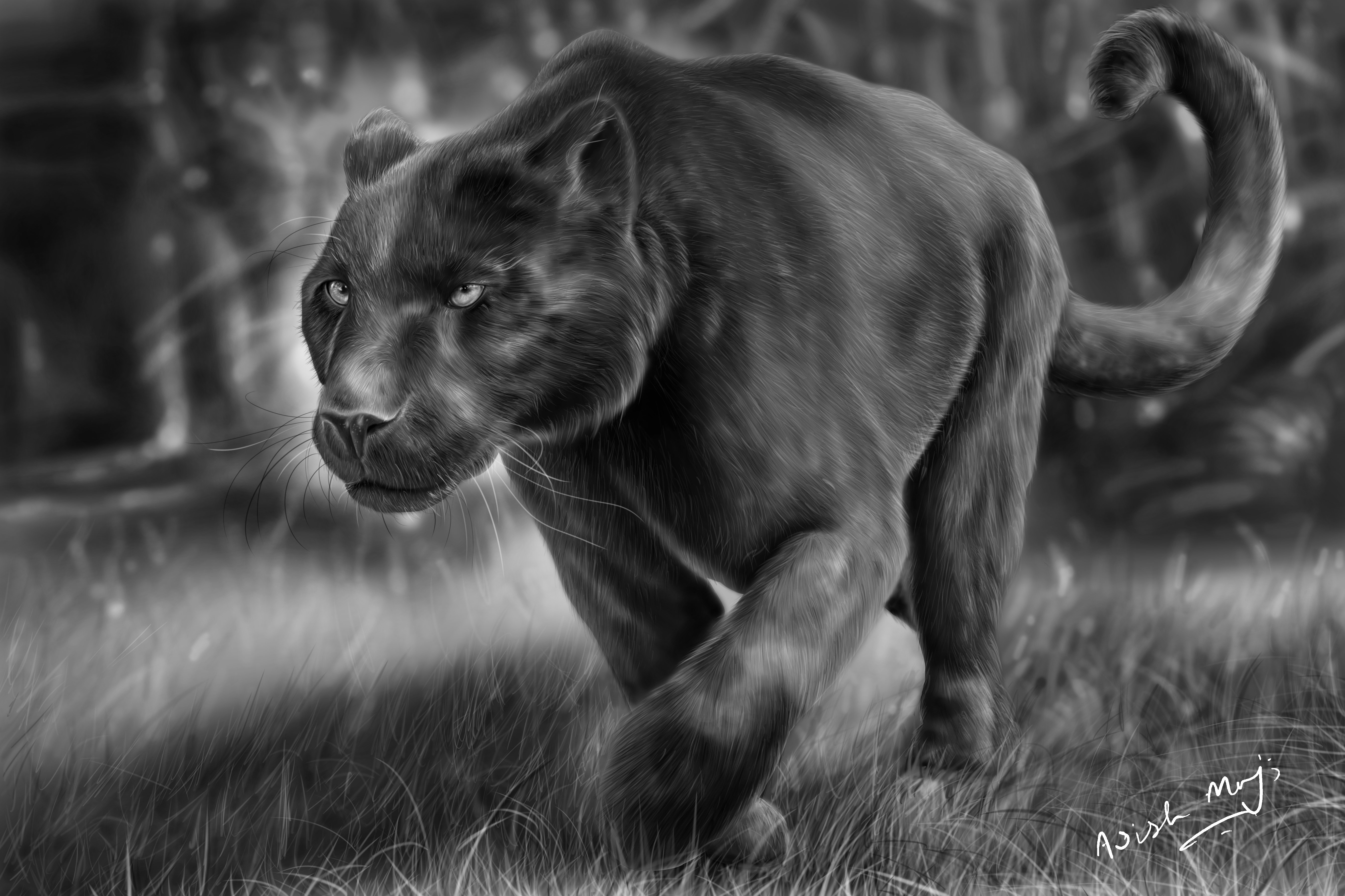 digital, artwork, panthers, HD Wallpaper