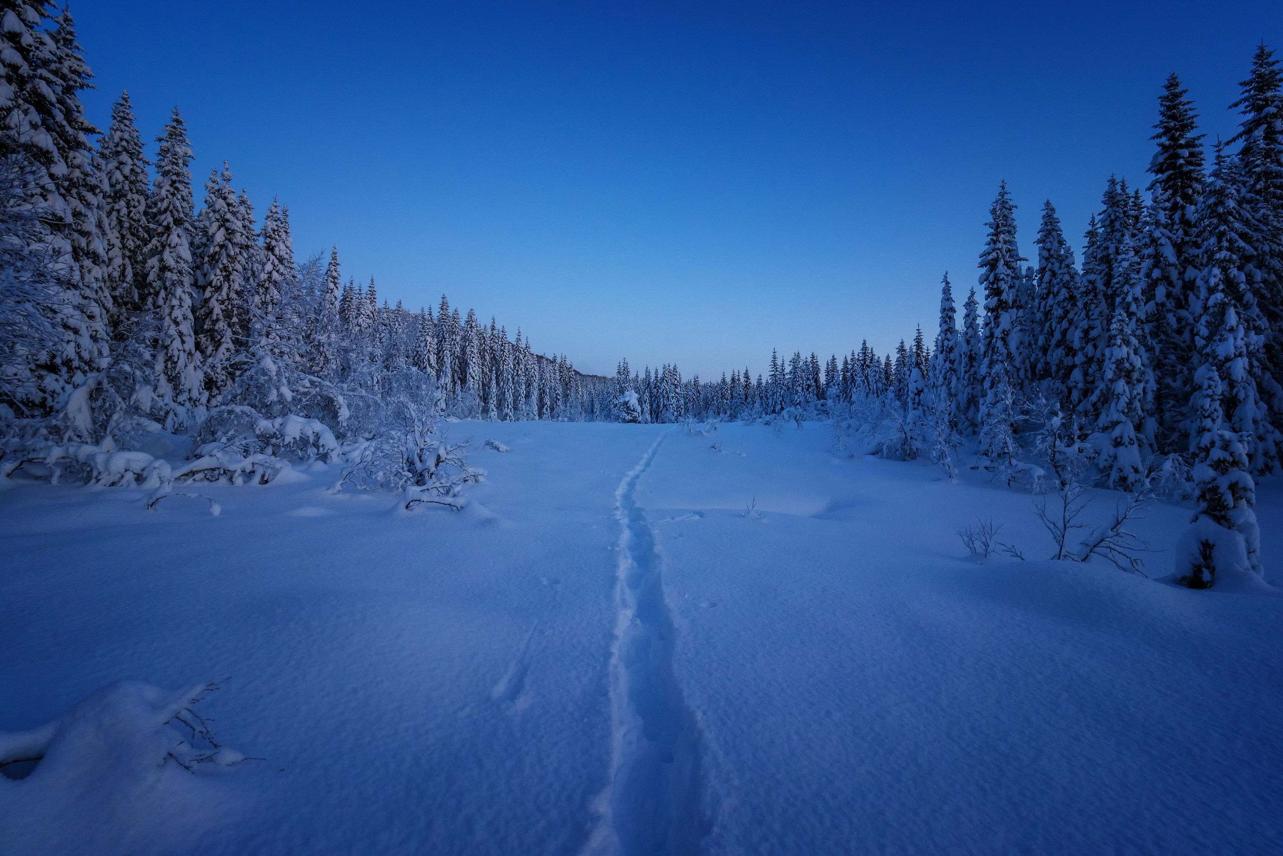 cold, Norway, snow, winter, trees, landscape, nature, HD Wallpaper